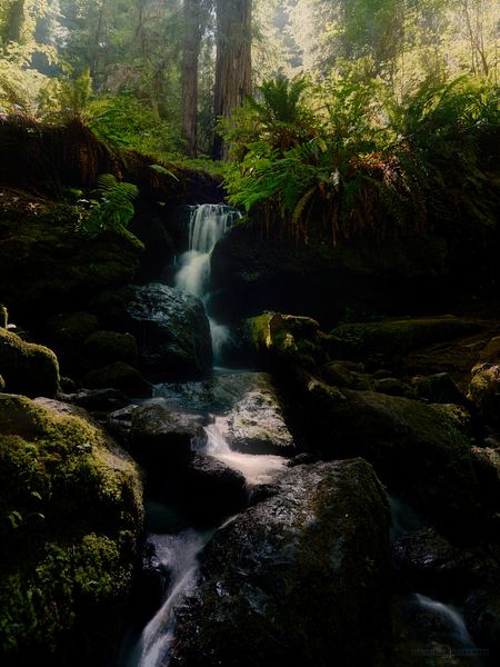 Trillium Falls, Redwood National & State Parks
