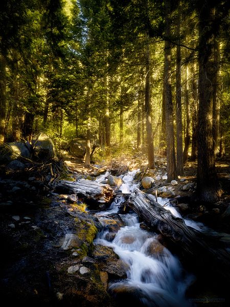 Lone Pine Creek