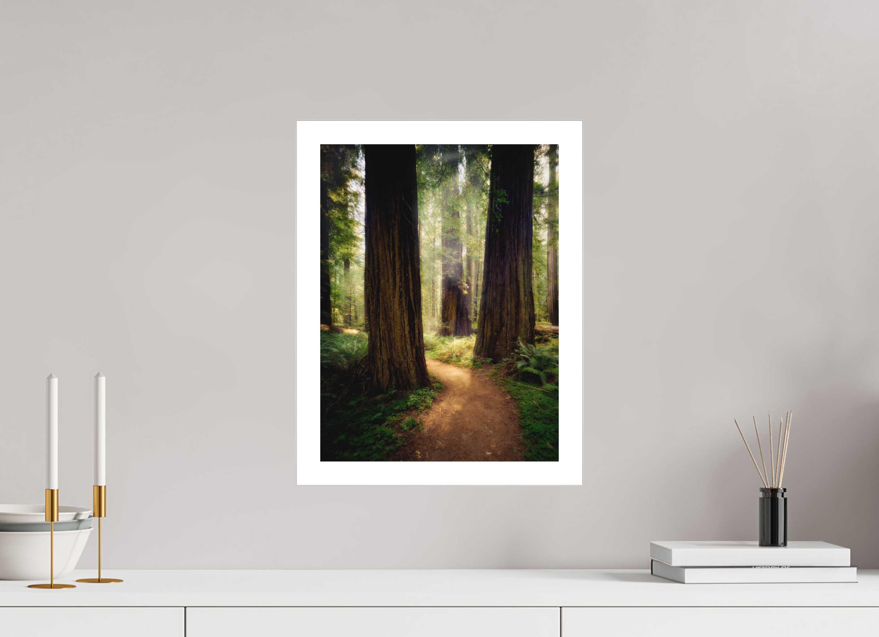 12 x 16″, Fine Art Bonded Acrylic A Path Through The Redwoods