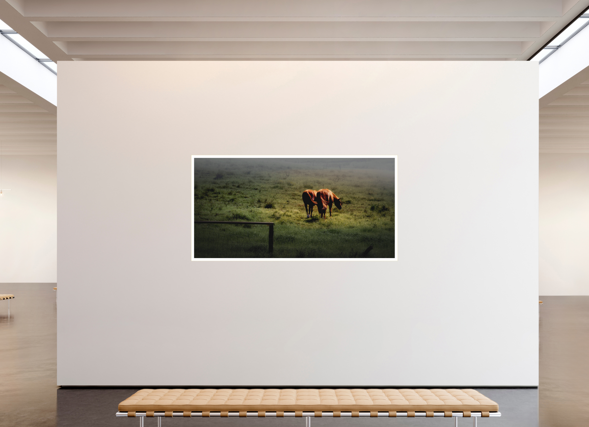 86 x 43″, Bonded Acrylic Mat + Gold Frame Upcountry Maui: Horses in Mist & Light