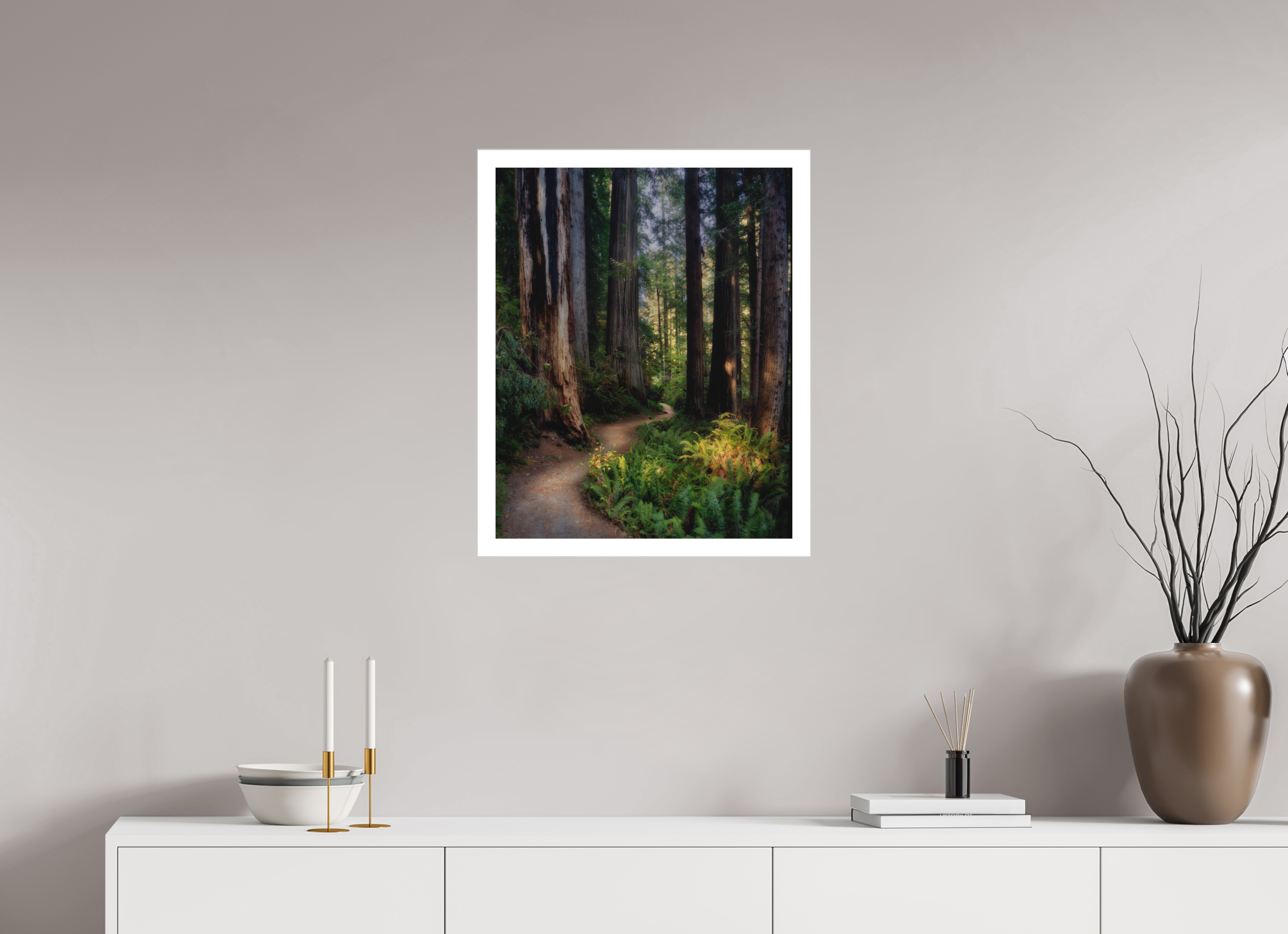 20 x 25″, Fine Art Bonded Acrylic Prairie Creek Redwoods Pathway