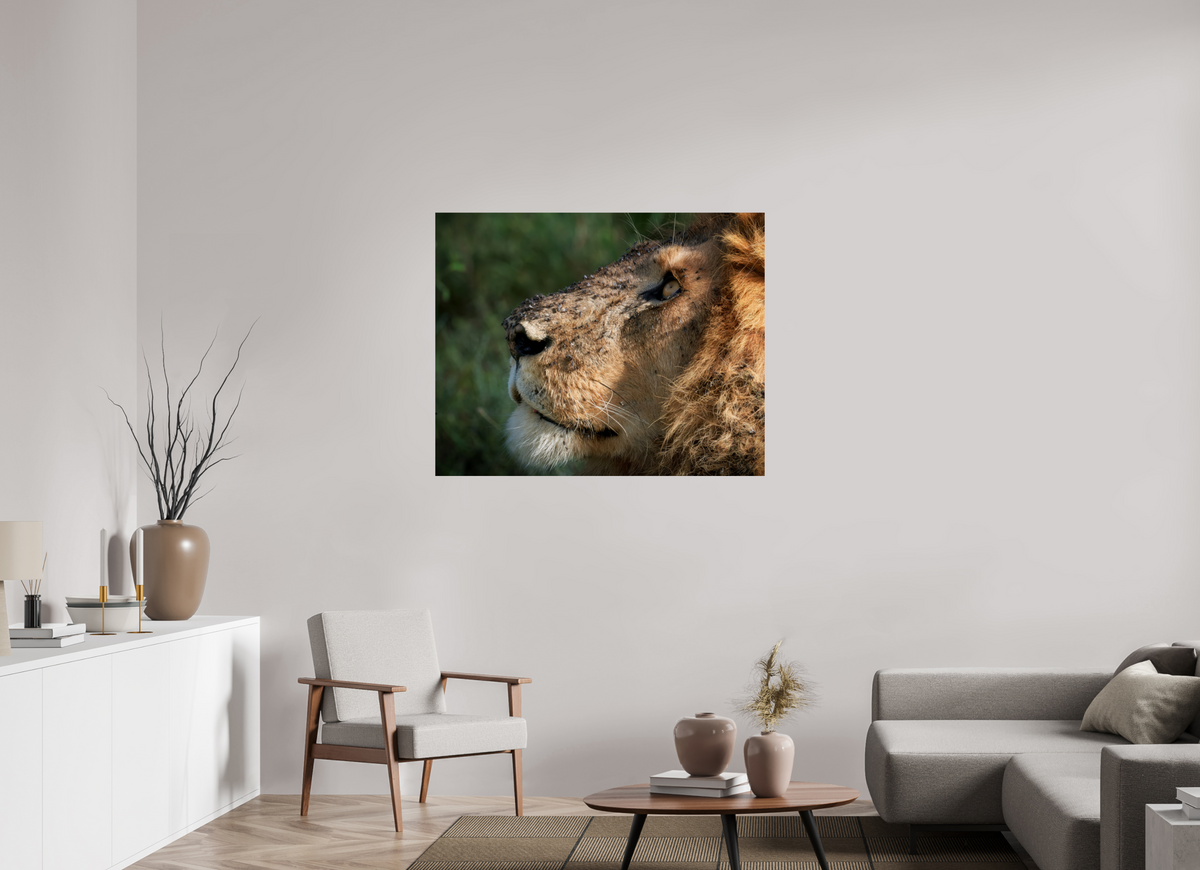 45 x 36″, Giclée Alu-Dibond The King of Most Beasts
