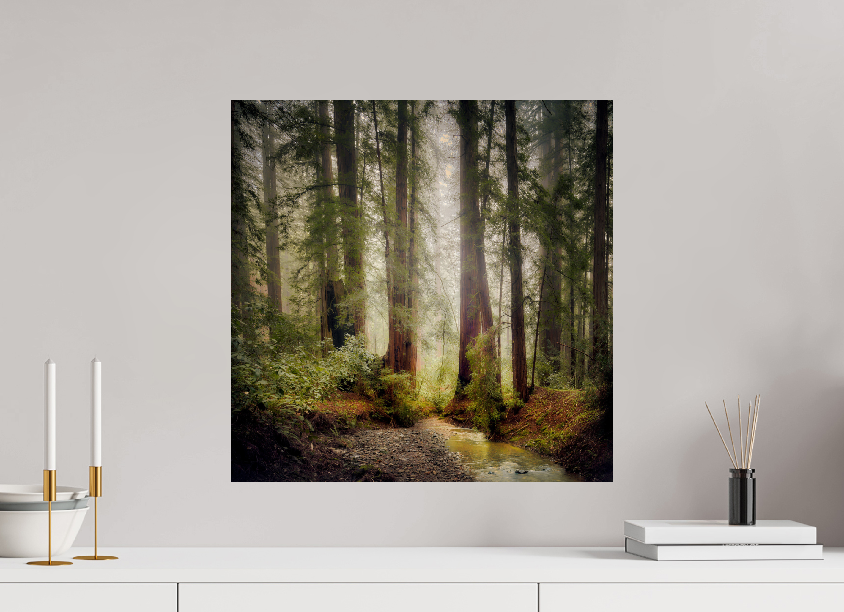 20 x 20″, Giclée Alu-Dibond Armstrong Woods IV: Lucem in Nemore