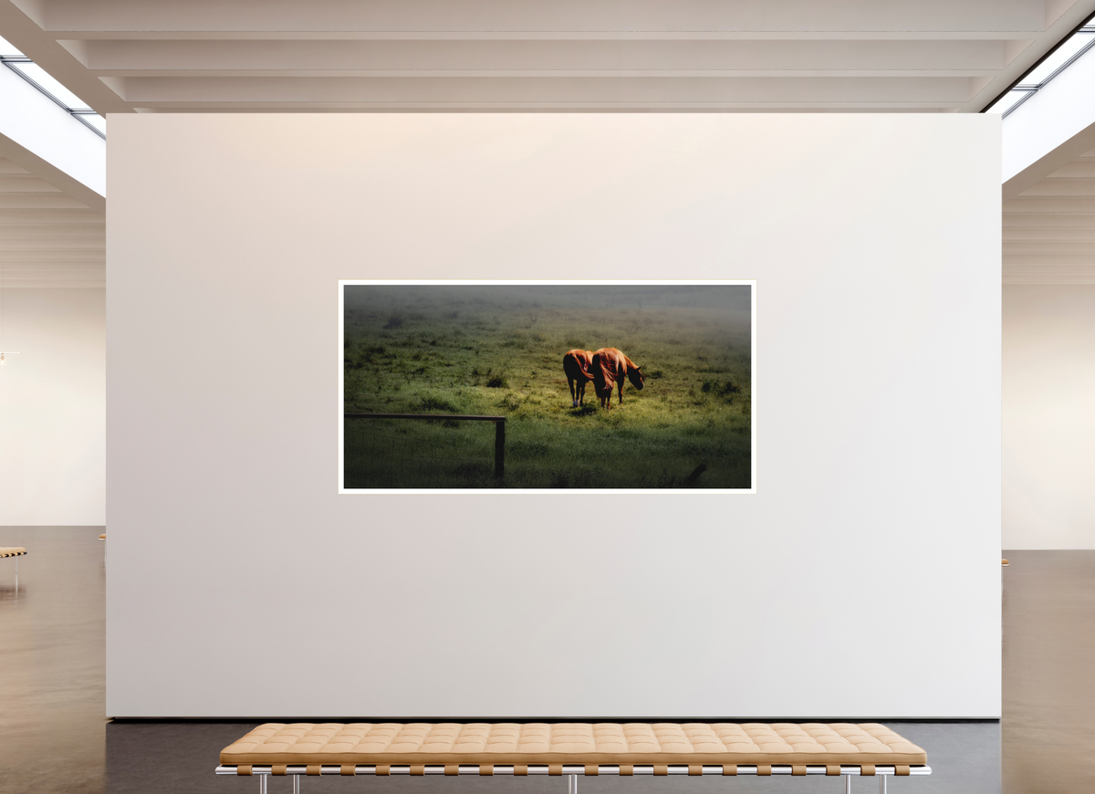 94 x 47″, Bonded Acrylic Mat + Gold Frame Upcountry Maui: Horses in Mist & Light