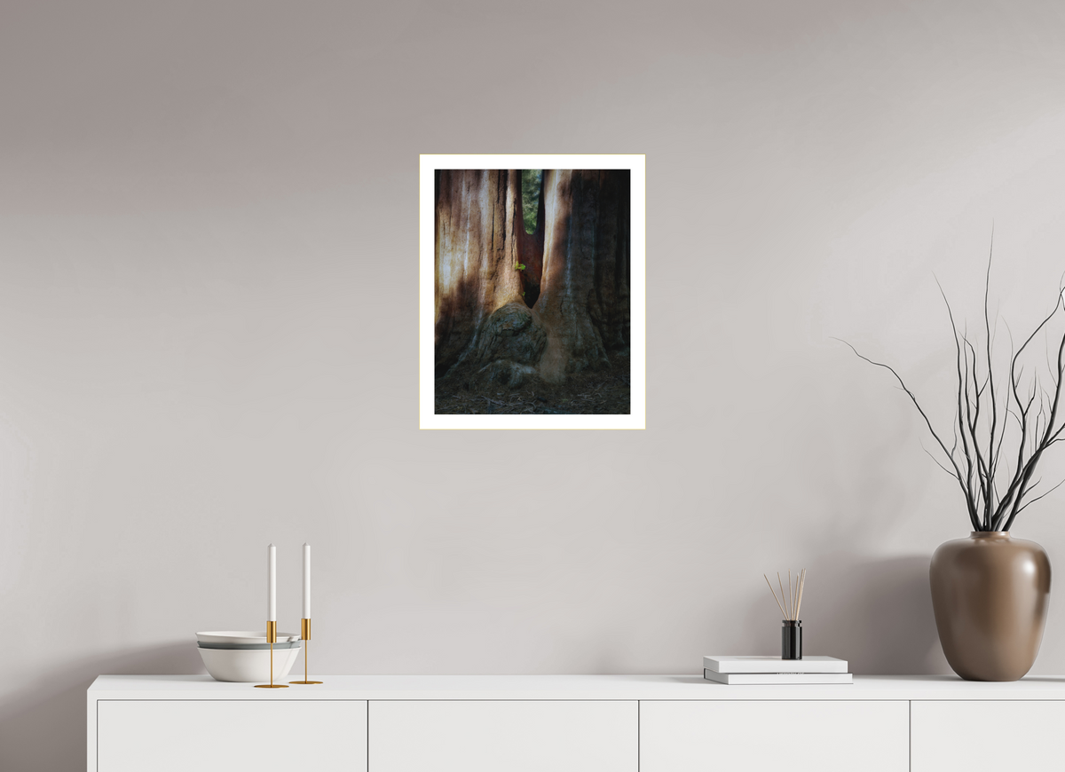 16 x 20″, Bonded Acrylic Mat + Gold Frame Semper iuvenis