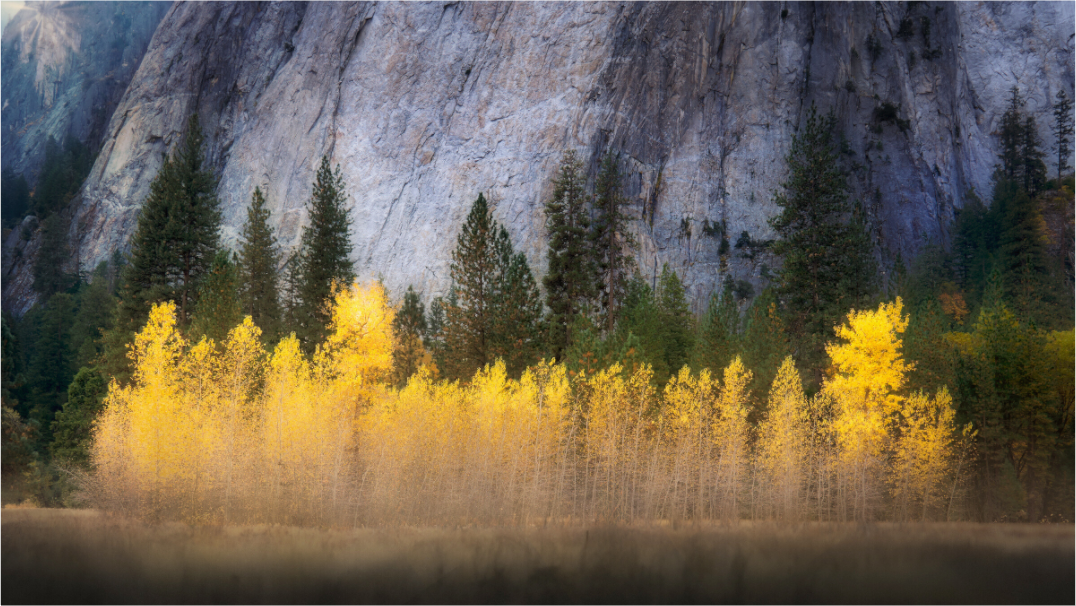 Main image Quaking Aspens Beneath Cathedral Rock