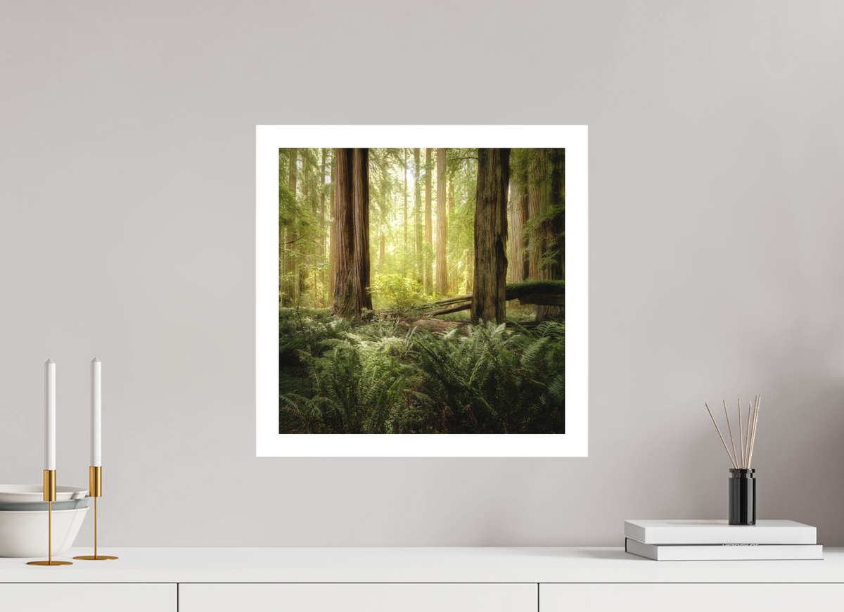 15 x 15″, Bonded Acrylic Mat + Silver Frame Lux Armarium: Stout Grove