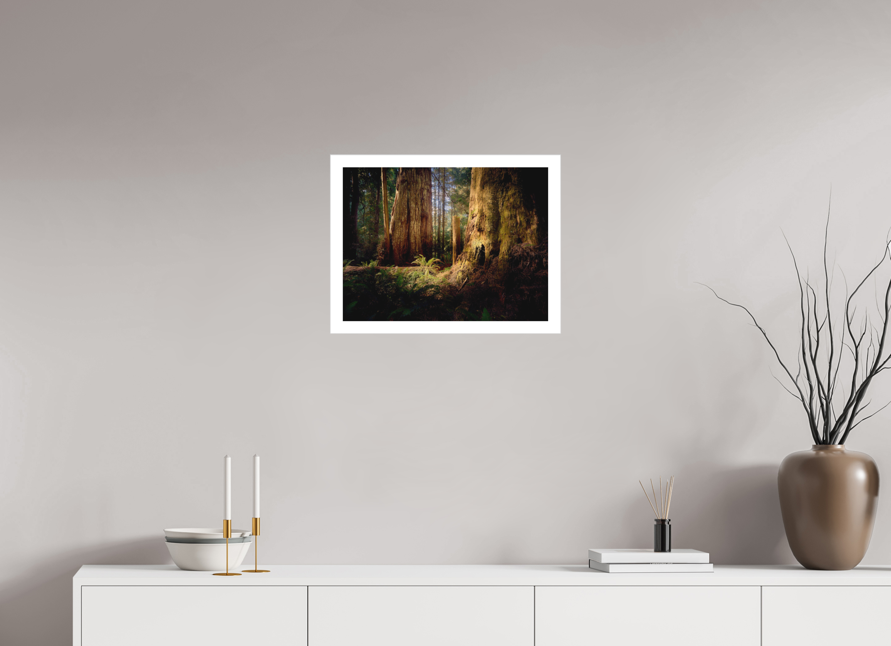 20 x 15″, Fine Art Bonded Acrylic Parvus: A Redwood Perspective