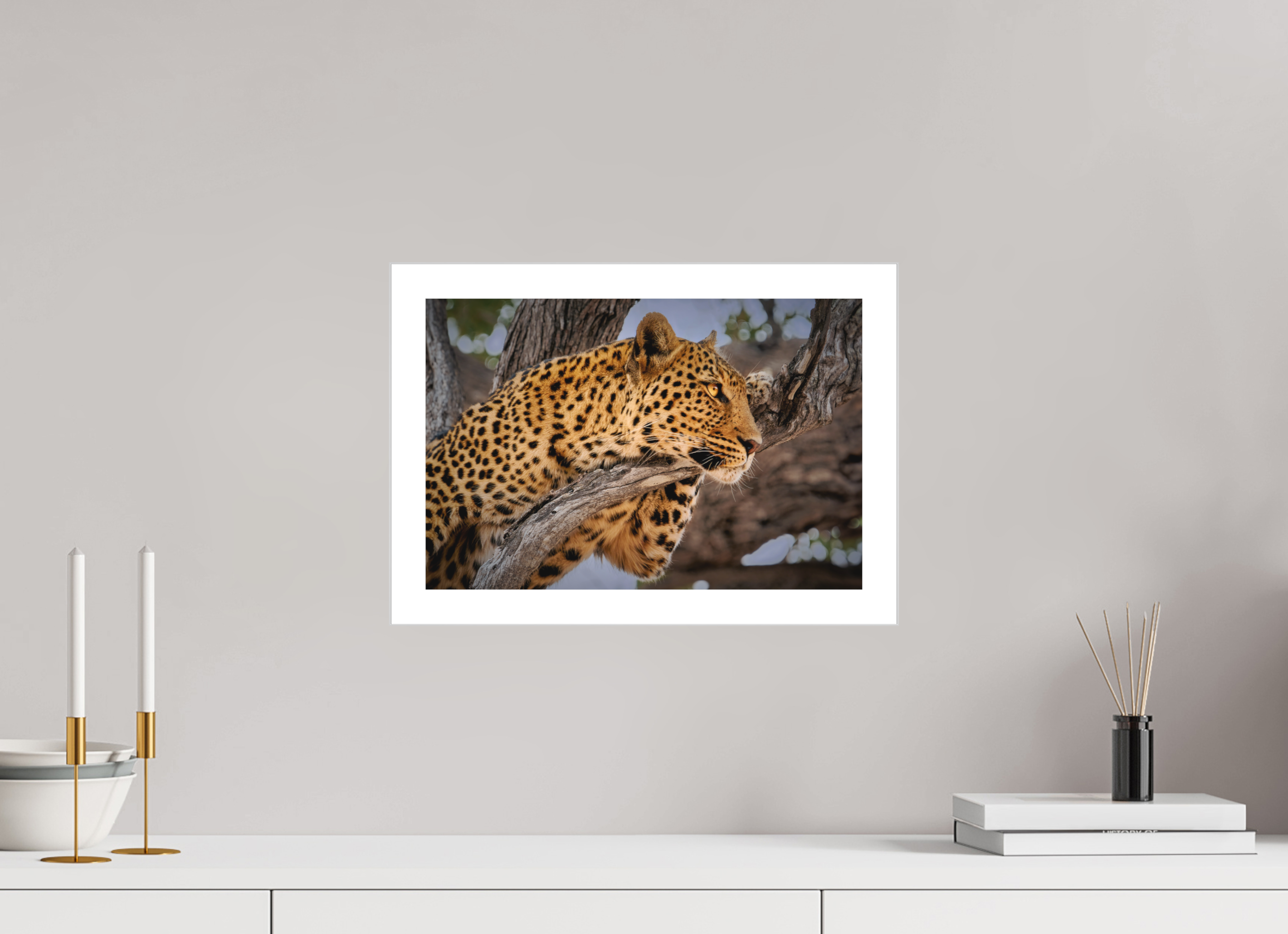 15 x 10″, Fine Art Bonded Acrylic Leopard Princess of Savute