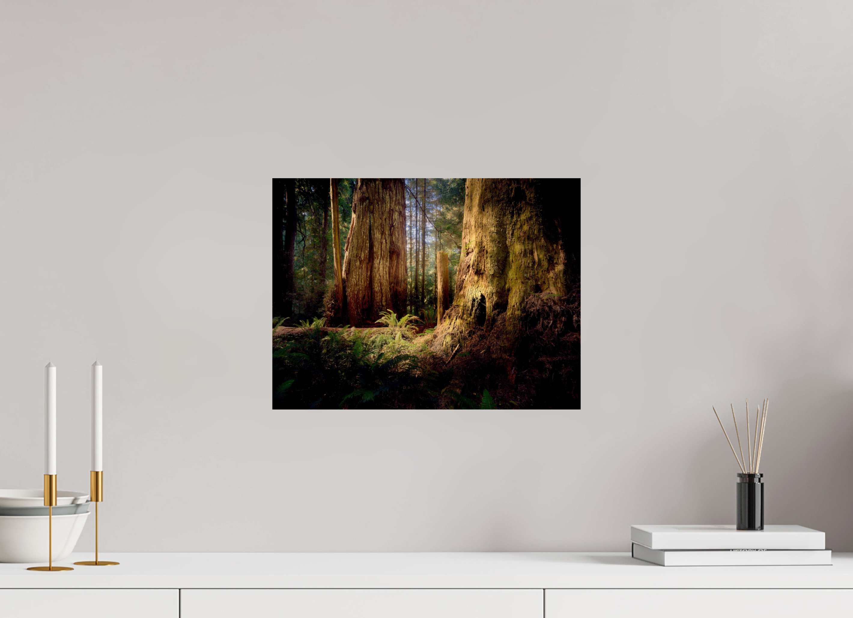 16 x 12″, Giclée Alu-Dibond Parvus: A Redwood Perspective