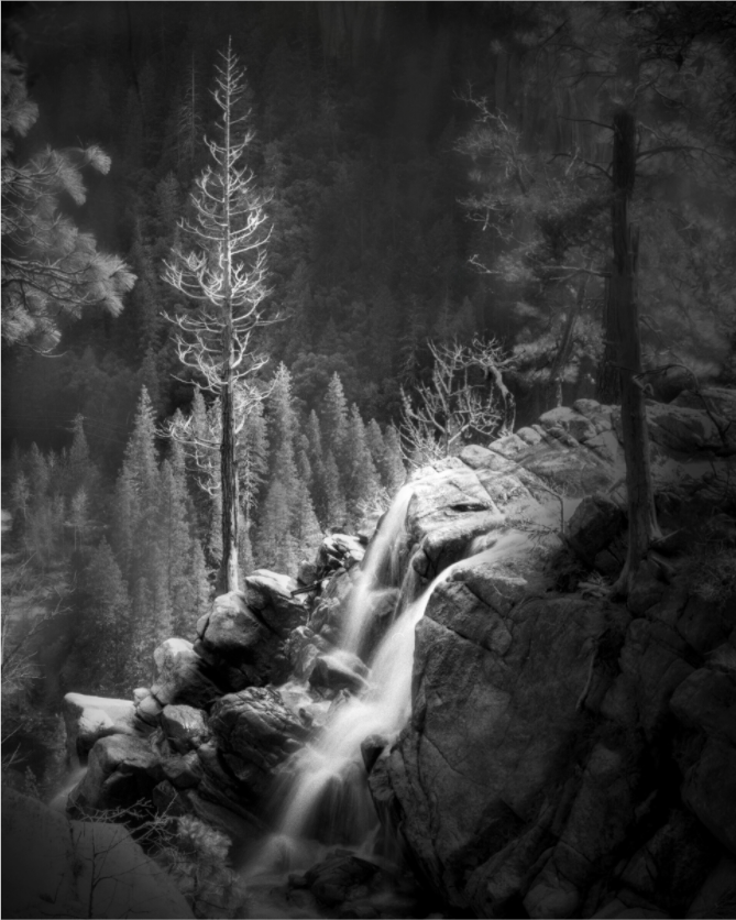 Main image Lucidum: Yosemite's Cascade Creek