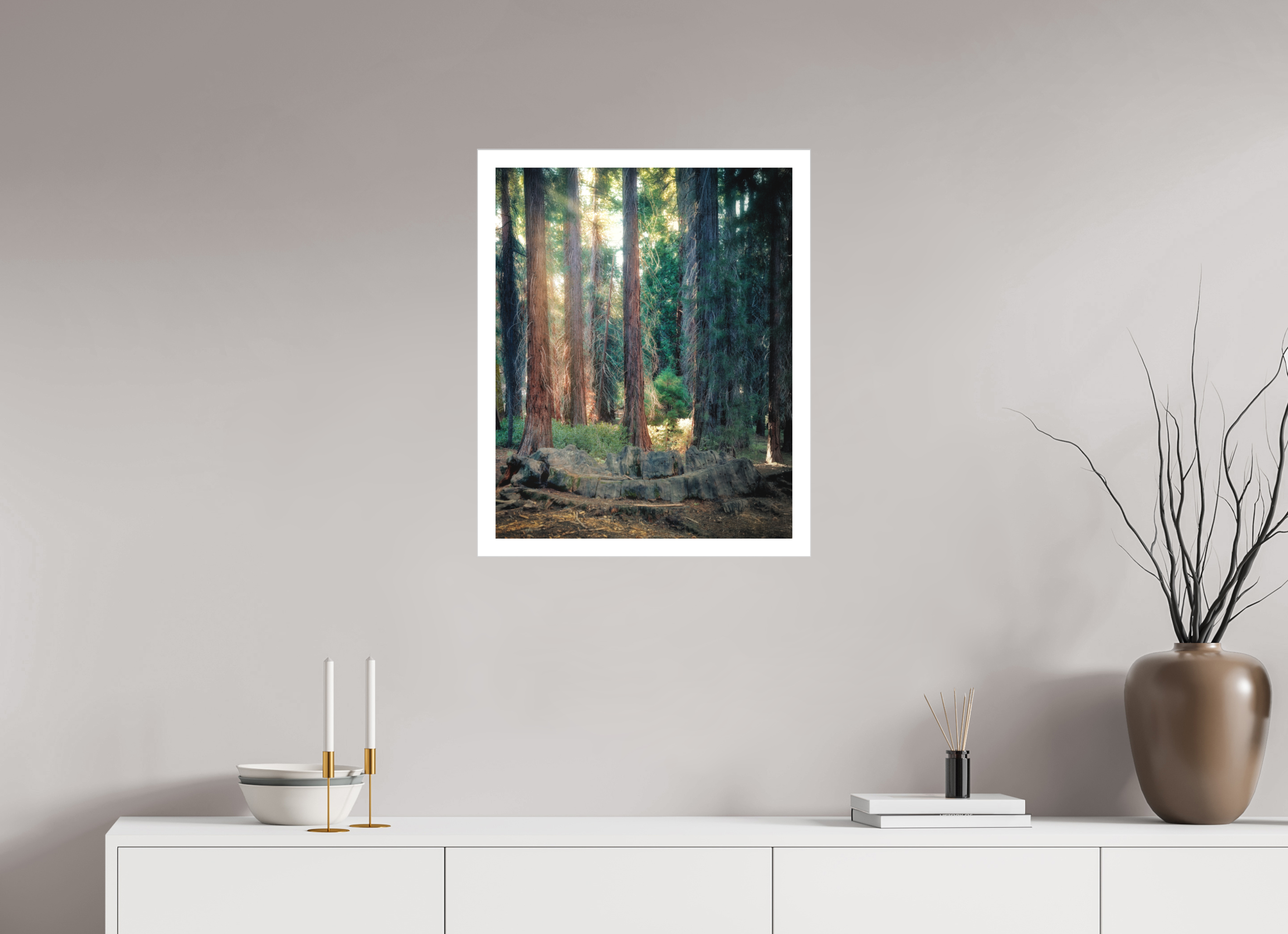 20 x 25″, Fine Art Bonded Acrylic Never Again: The Centennial Stump