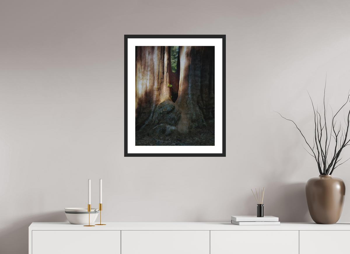 20 x 25″, Passe-Partout Black Frame Semper iuvenis