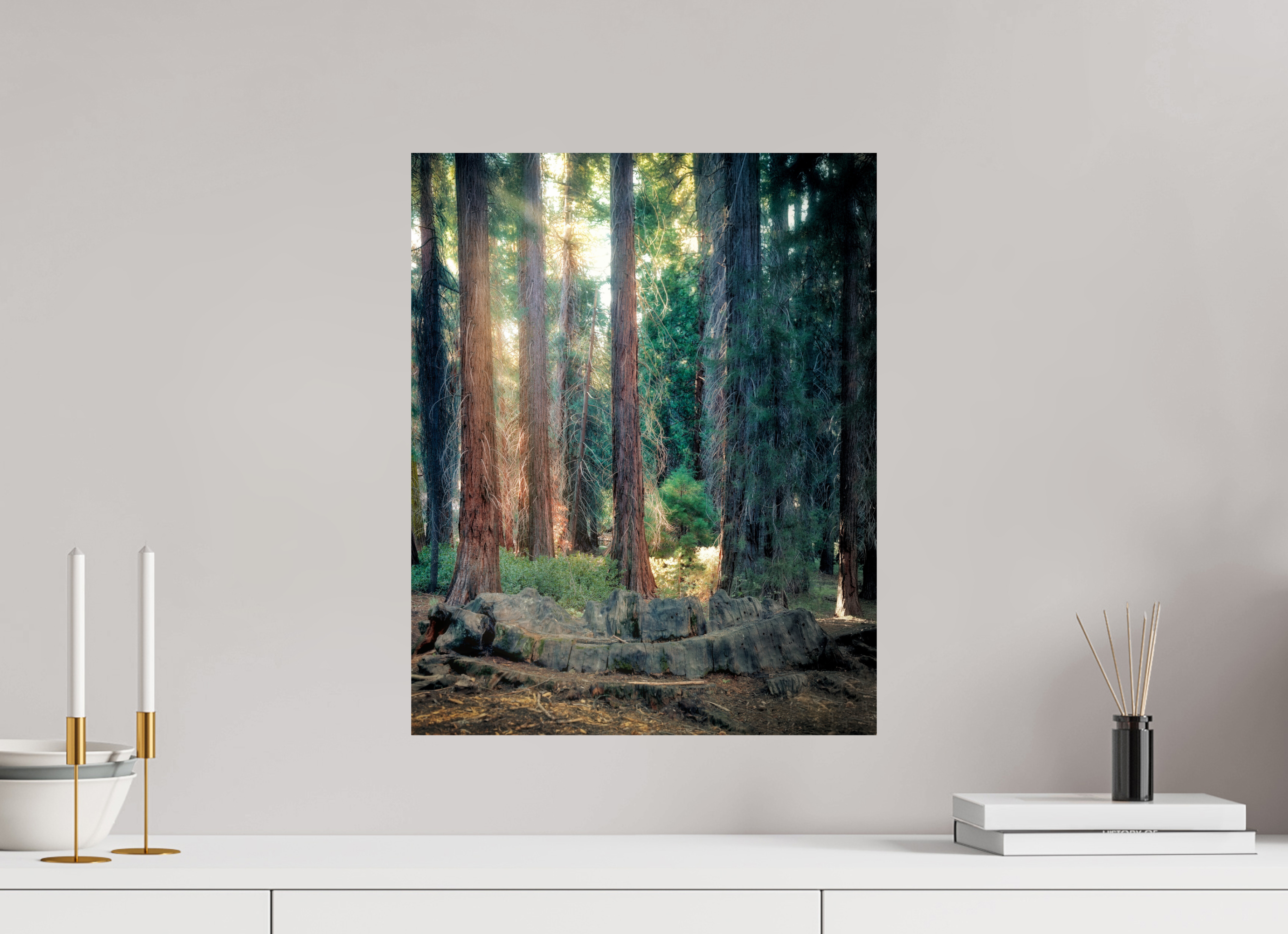 16 x 20″, Giclée Alu-Dibond Never Again: The Centennial Stump