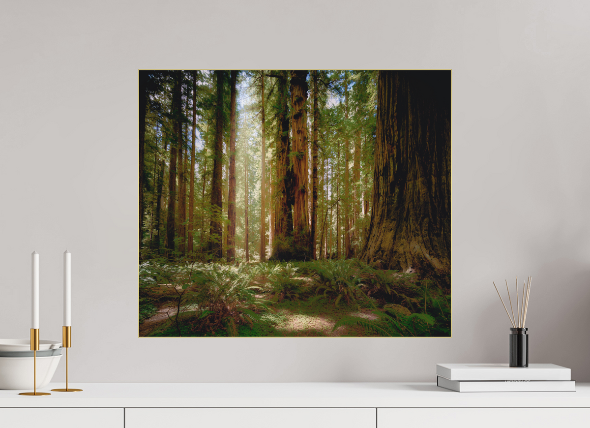 23.4 x 20″, Bonded Acrylic Gold Frame Life & Light Beneath the Giants