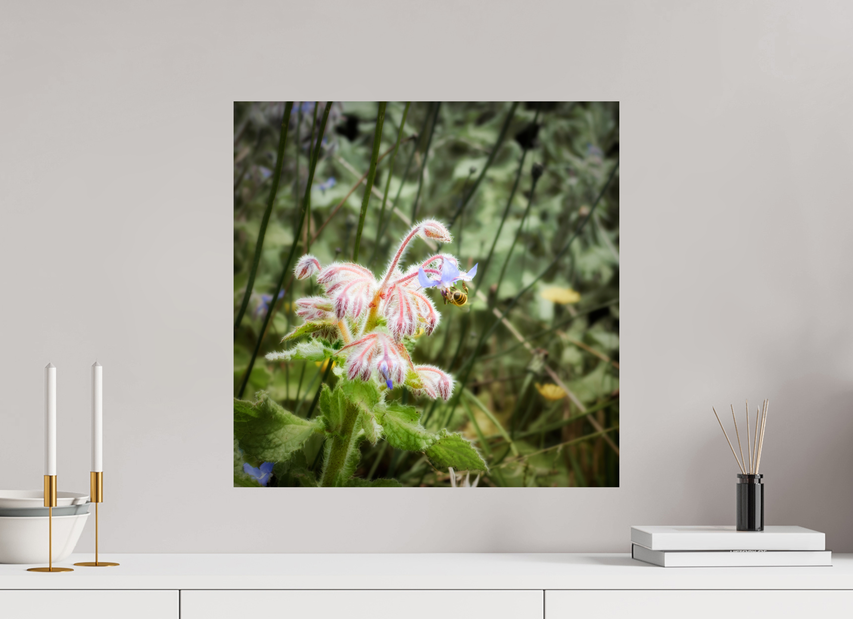 20 x 20″, Giclée Alu-Dibond Maui Honeybee Hard at Work