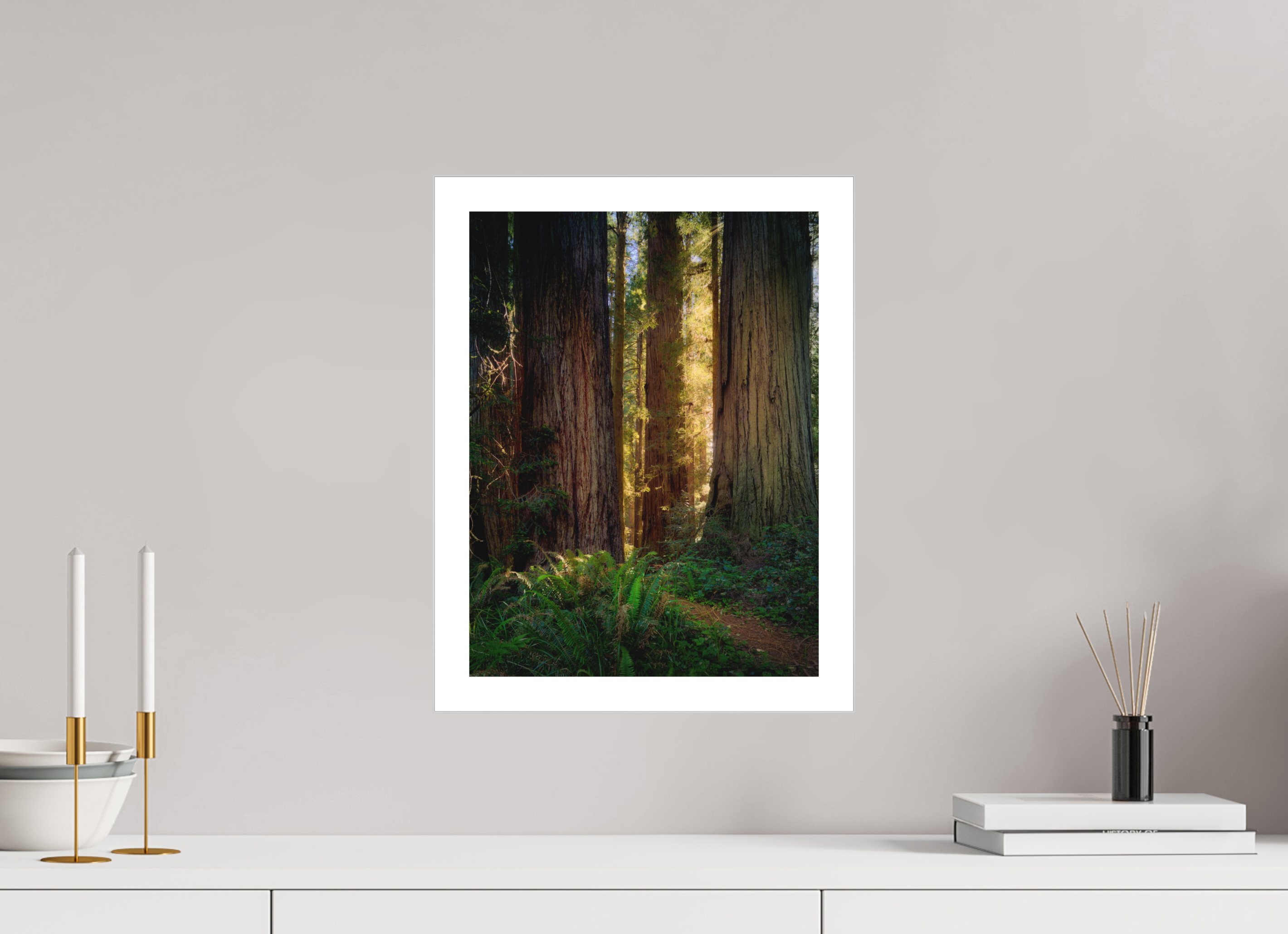 12 x 16″, Fine Art Bonded Acrylic Novaculata: Back to the Redwoods