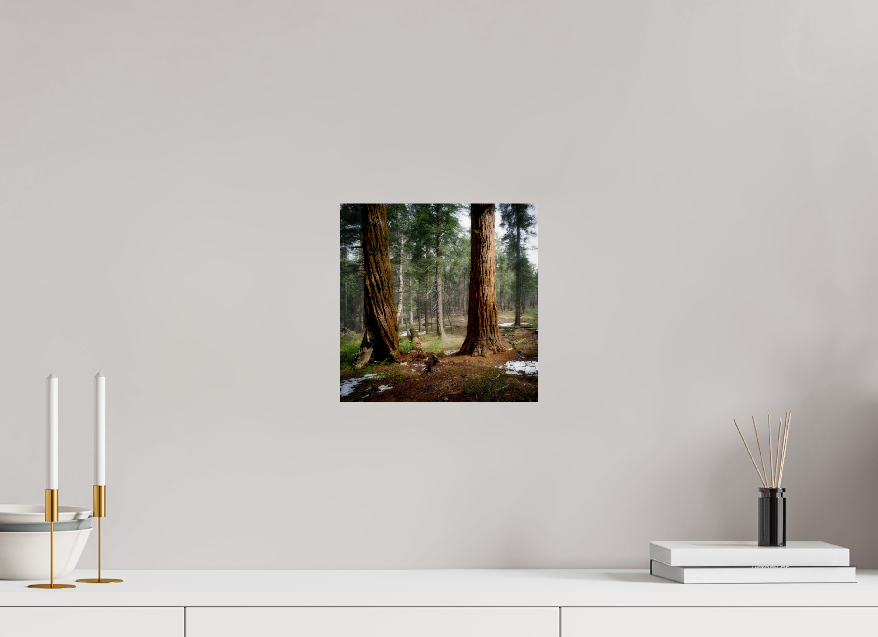 10 x 10″, Giclée Alu-Dibond Northern Sentinels II: The Placer County Sequoias