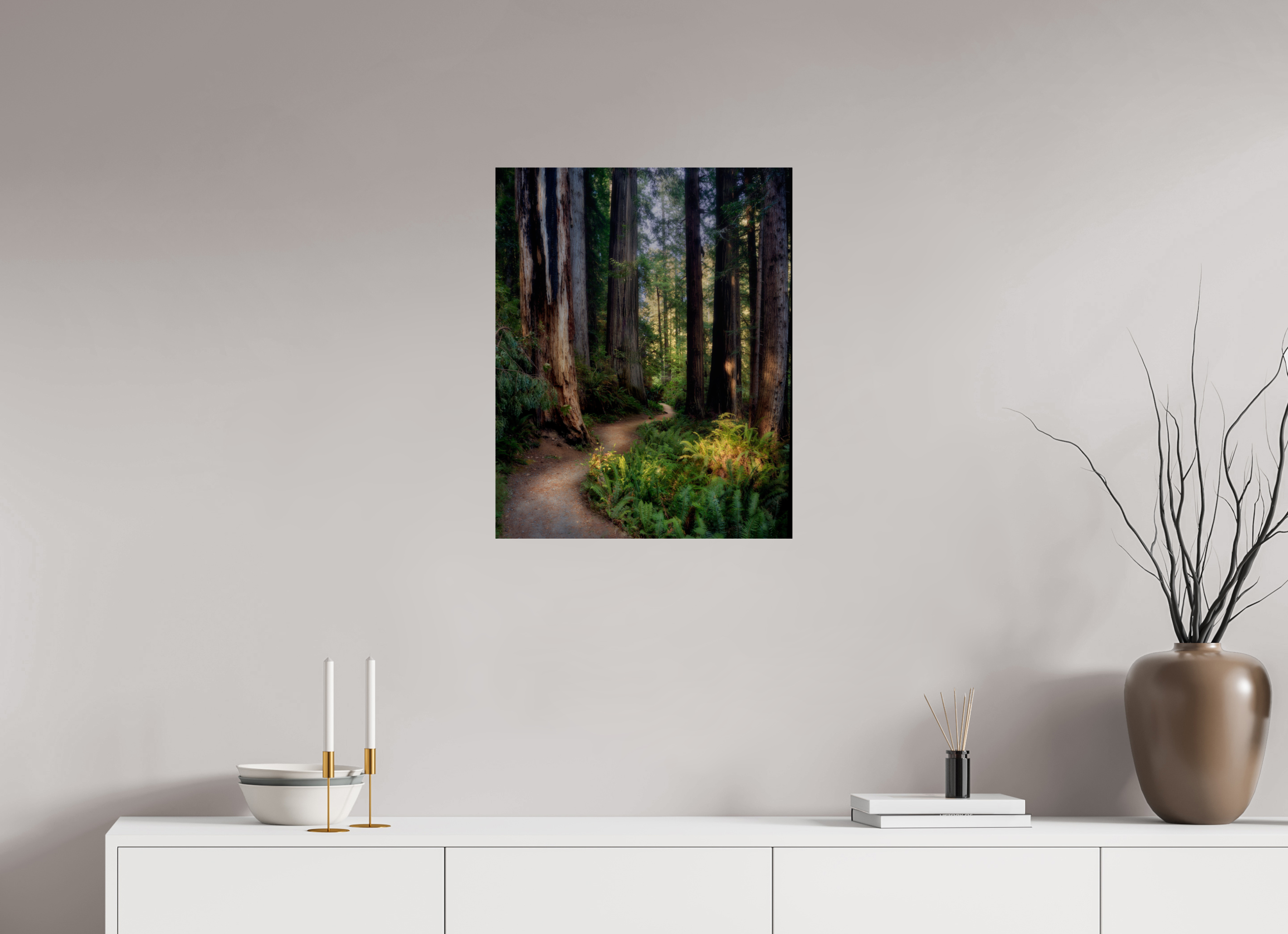 20 x 25″, Giclée Alu-Dibond Prairie Creek Redwoods Pathway