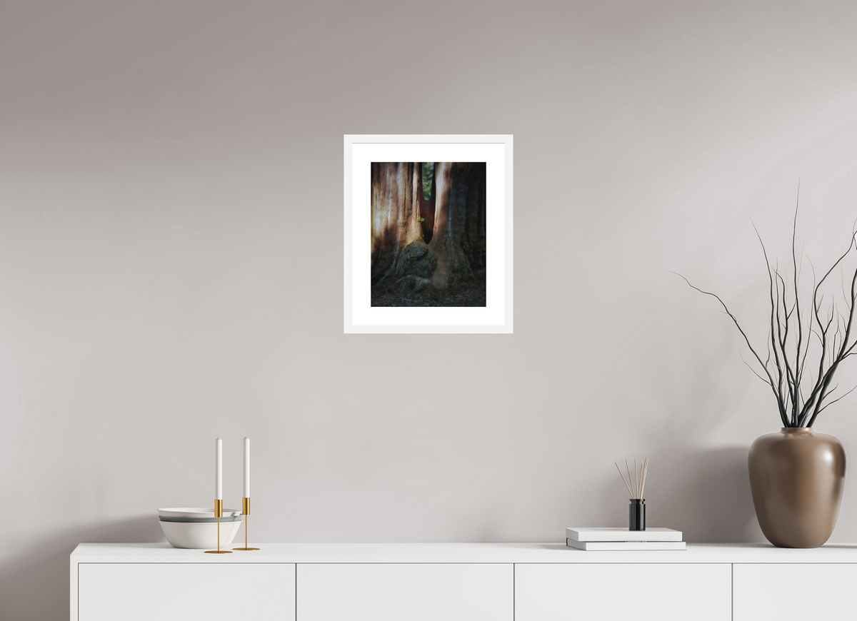 12 x 15″, Passe-Partout White Frame Semper iuvenis