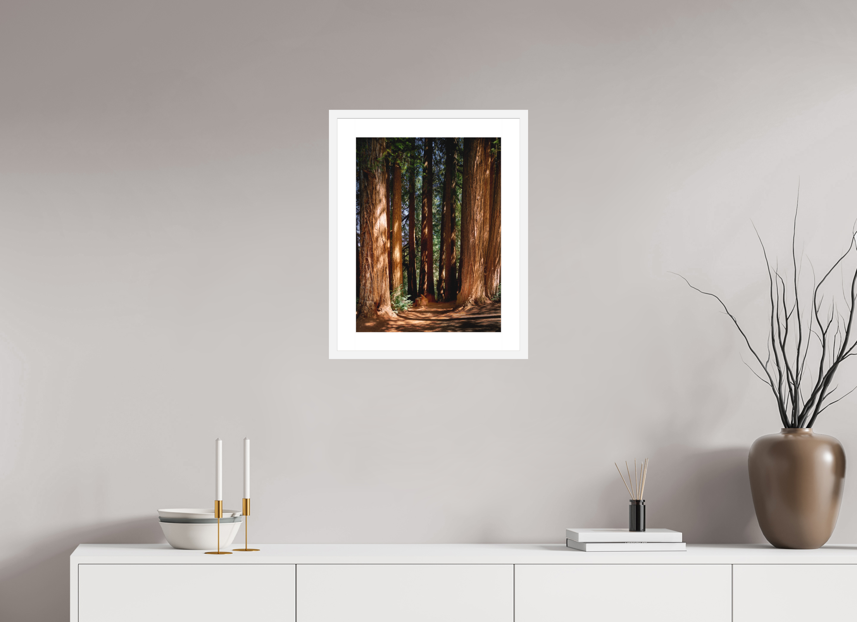 15 x 20″, Passe-Partout White Frame Felton Redwoods Cathedral Grove
