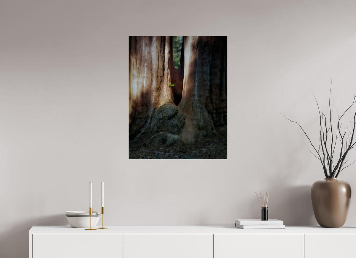 24 x 30″, Giclée Alu-Dibond Semper iuvenis