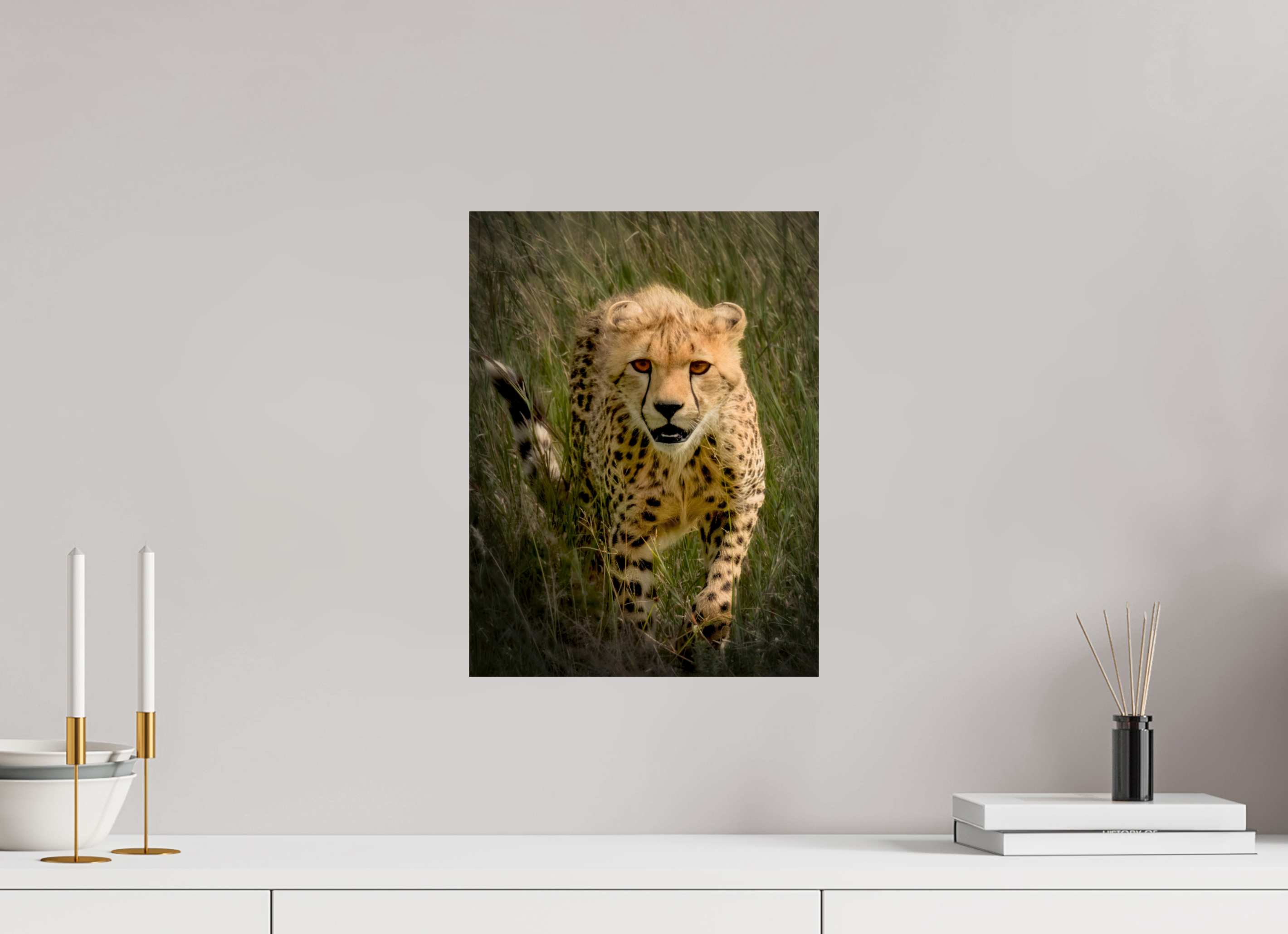 12 x 16″, Giclée Alu-Dibond Stalking Cheetah