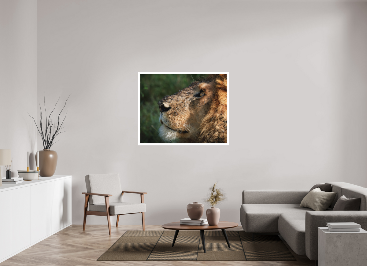 48.7 x 39″, Fine Art Bonded Acrylic The King of Most Beasts