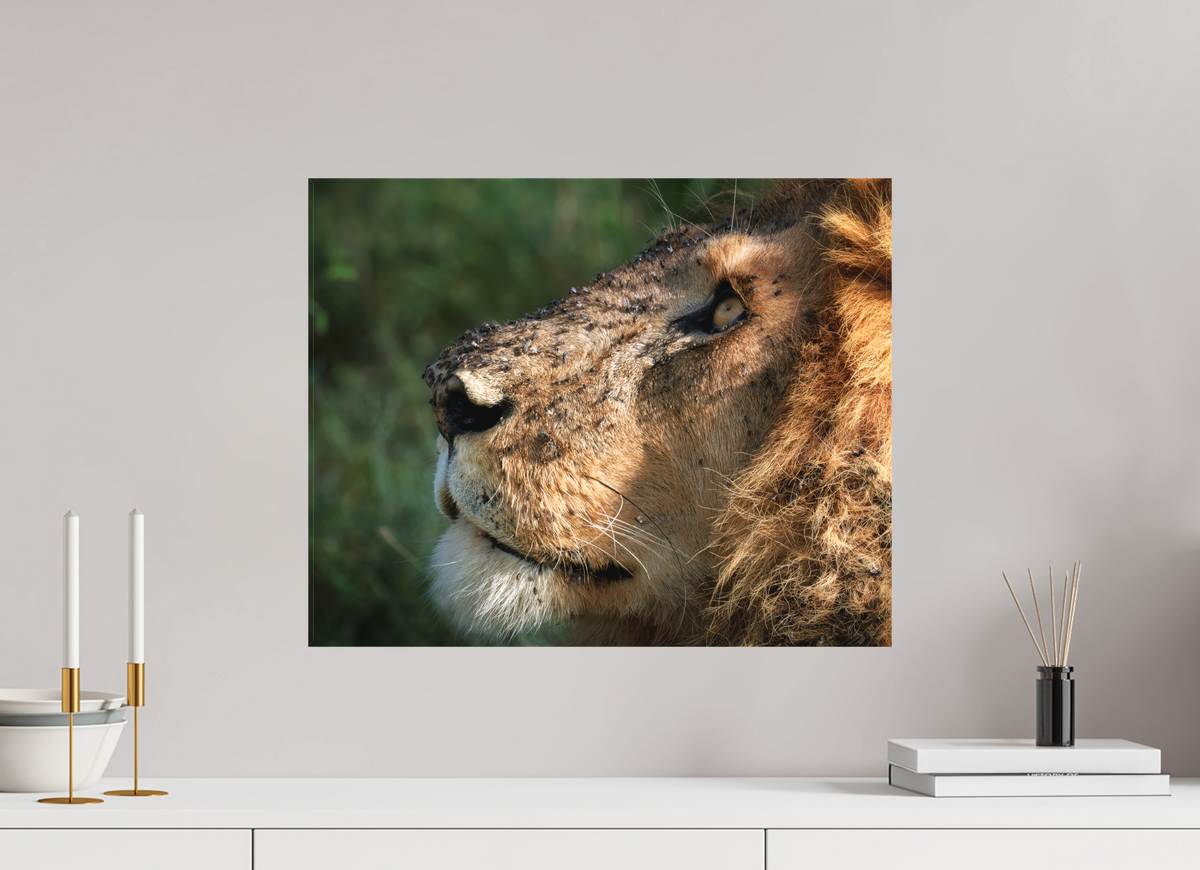 20 x 16″, Fine Art Textile The King of Most Beasts