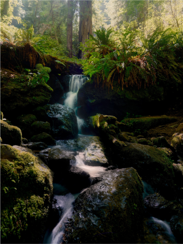 Main image Trillium Falls