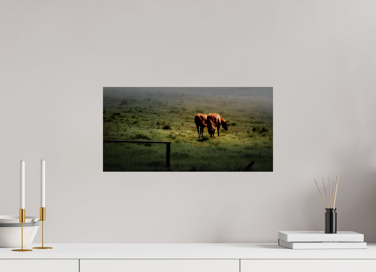 20 x 10″, Giclée Alu-Dibond Upcountry Maui: Horses in Mist & Light