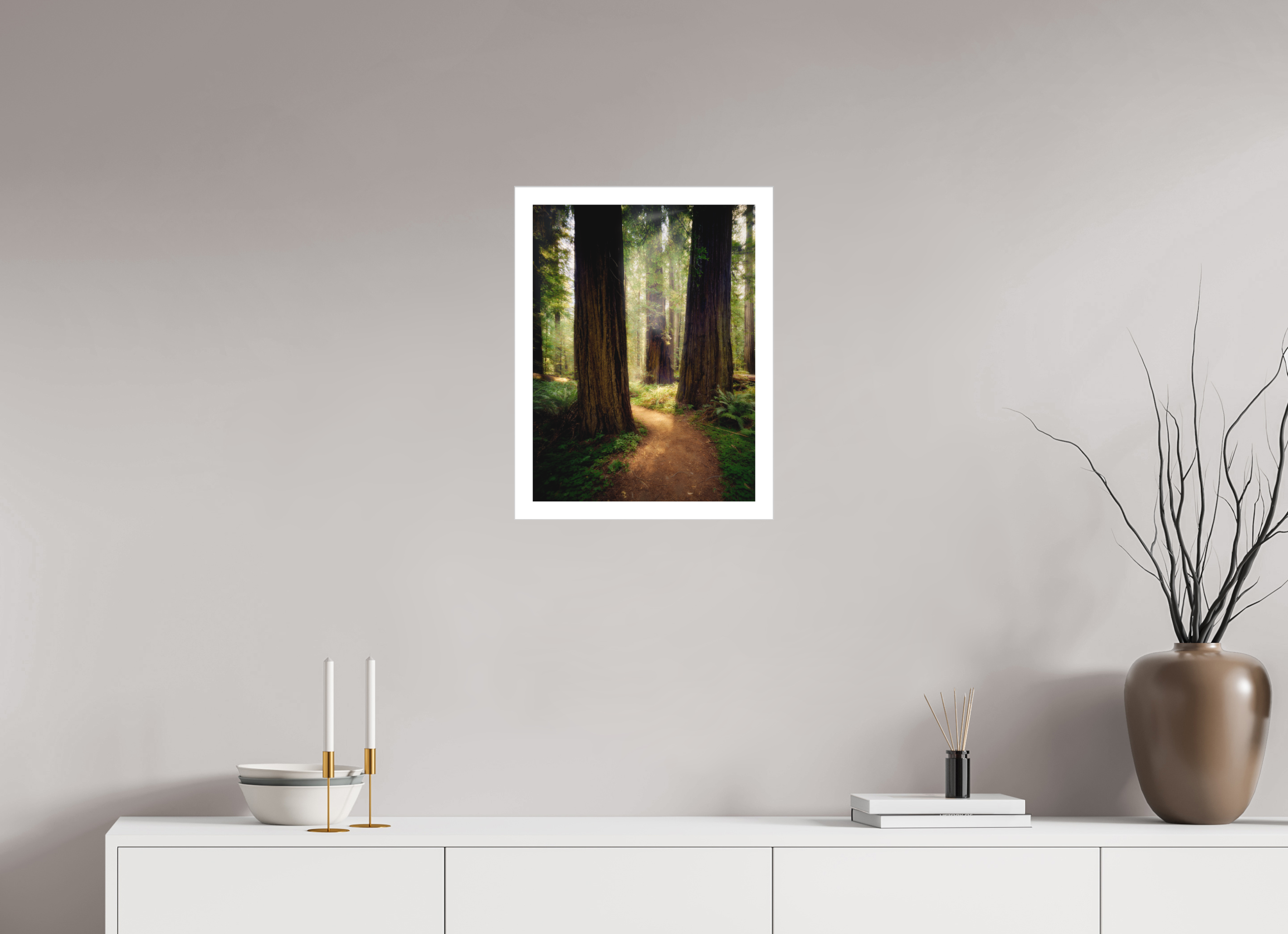 15 x 20″, Fine Art Bonded Acrylic A Path Through The Redwoods