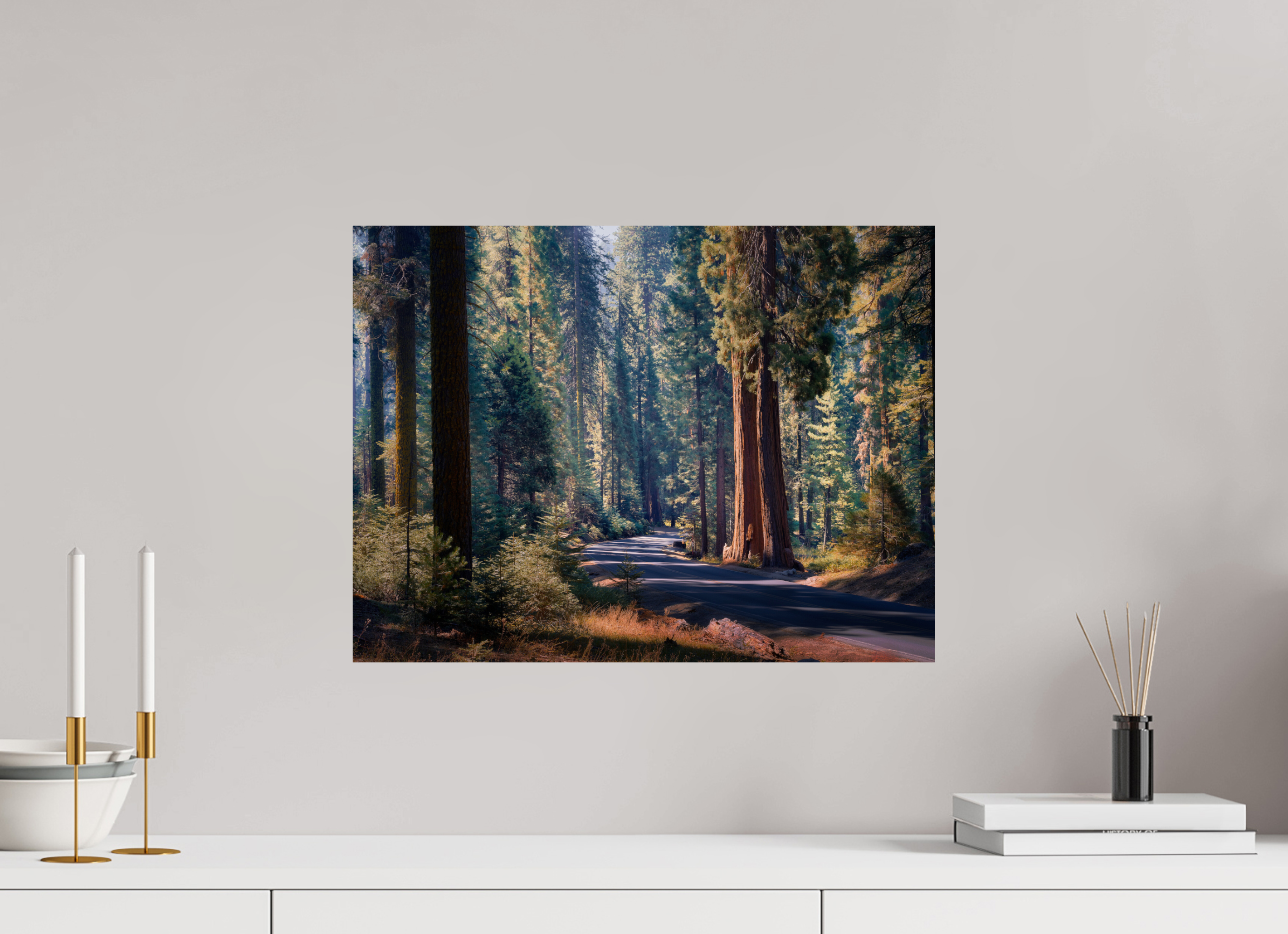 20 x 15″, Giclée Alu-Dibond The Generals Highway I : Sequoia National Park