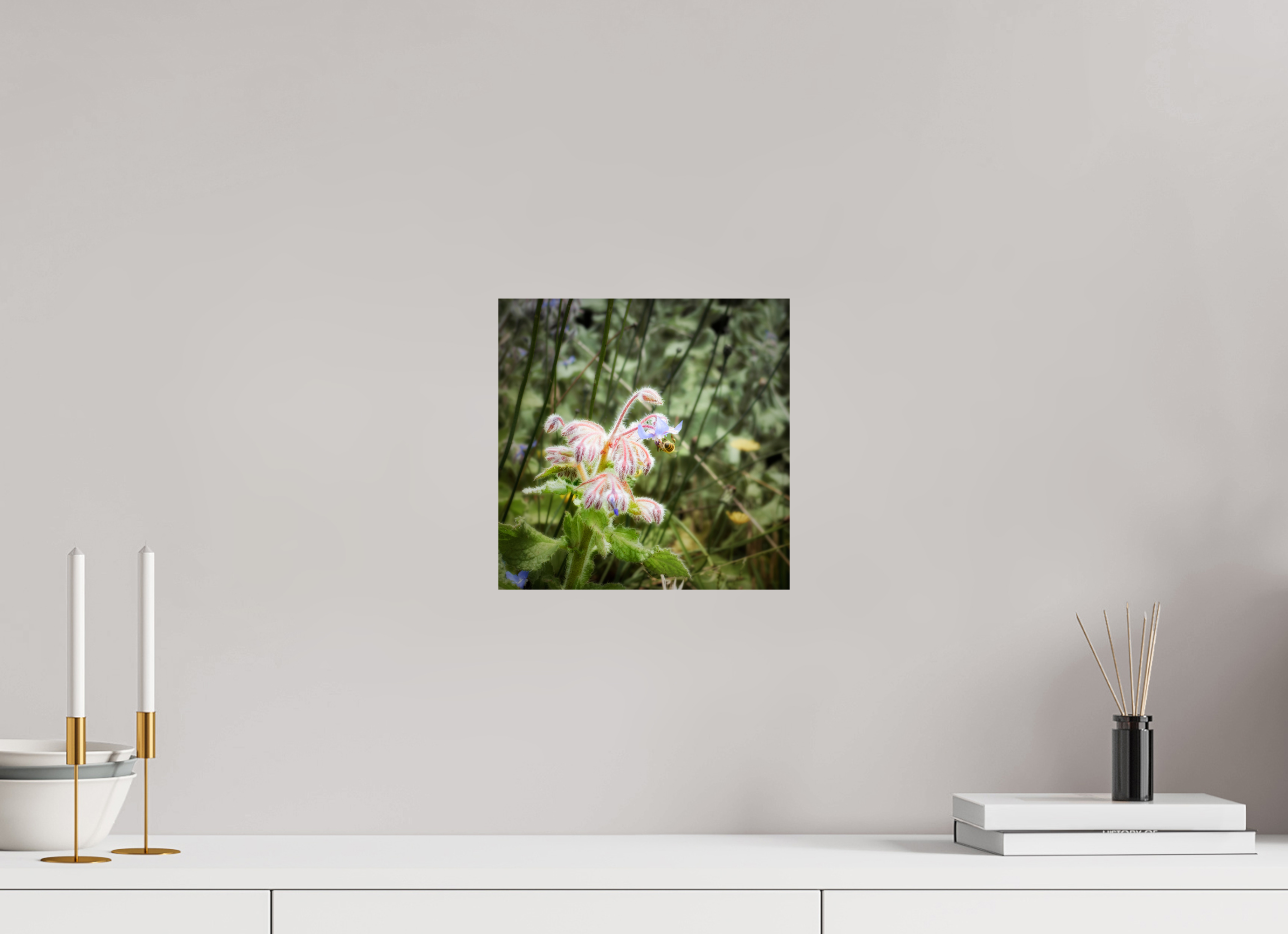 10 x 10″, Giclée Alu-Dibond Maui Honeybee Hard at Work