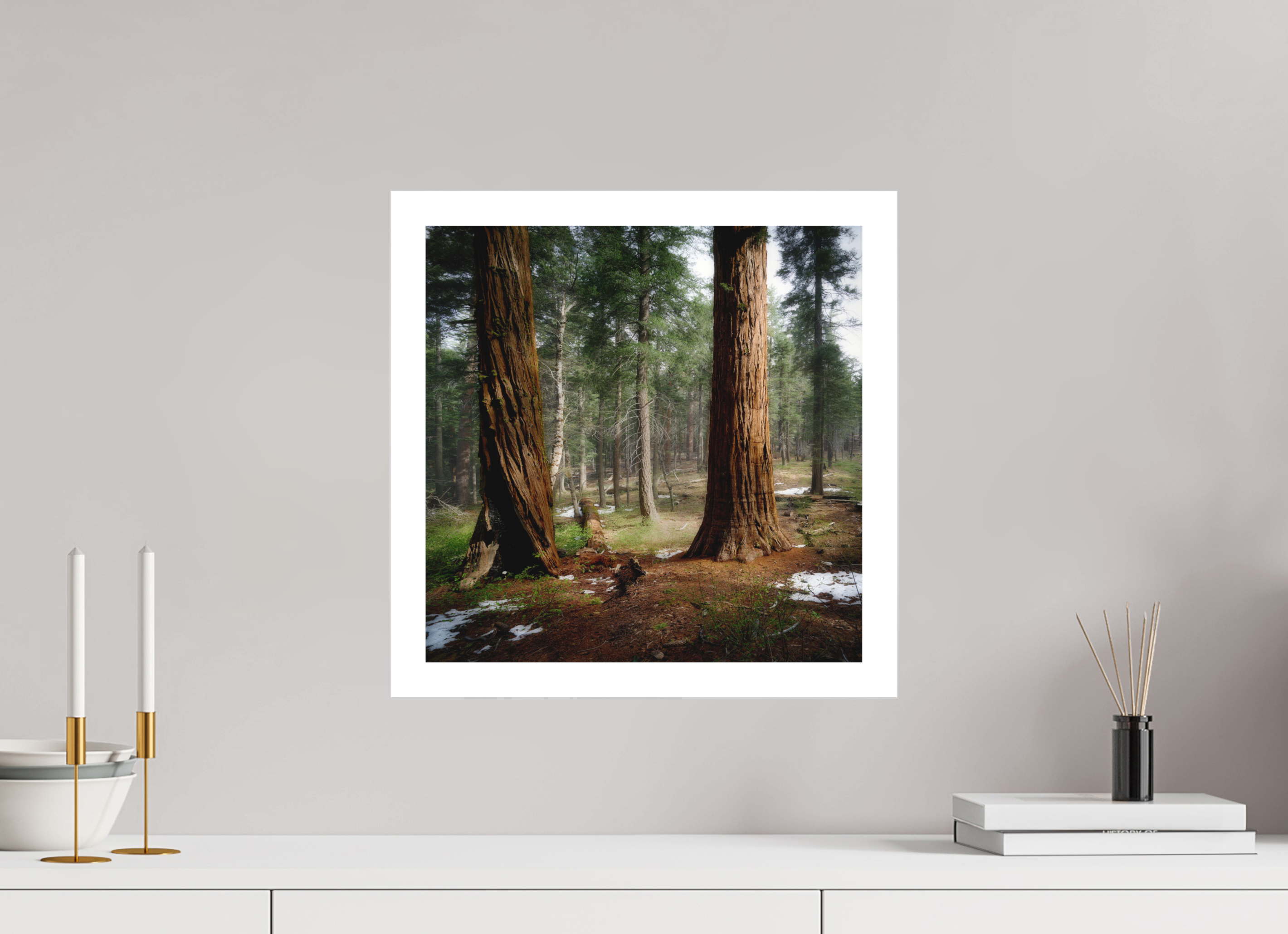 15 x 15″, Bonded Acrylic Mat + Silver Frame Northern Sentinels II: The Placer County Sequoias