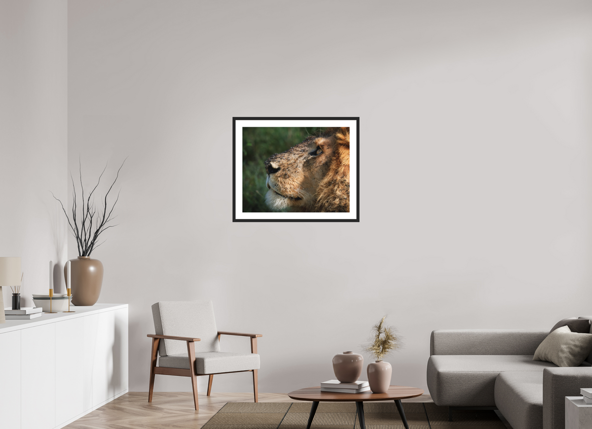 30 x 24″, Passe-Partout Black Frame The King of Most Beasts
