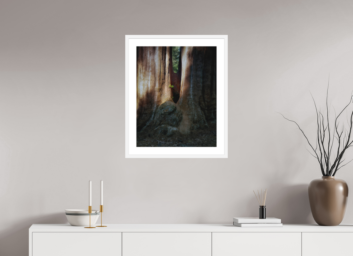 20 x 25″, Passe-Partout White Frame Semper iuvenis