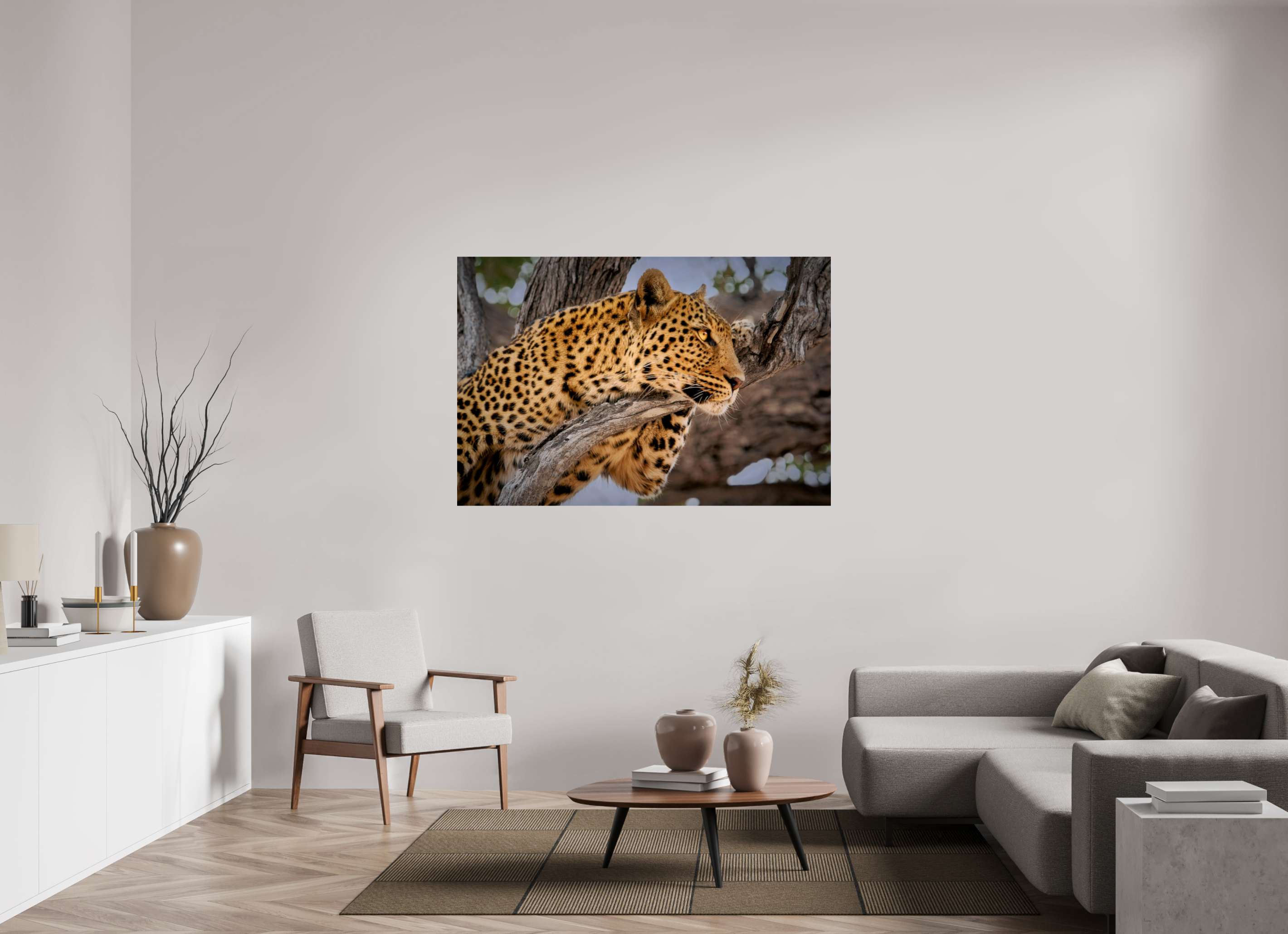 60 x 40″, Giclée Alu-Dibond Leopard Princess of Savute
