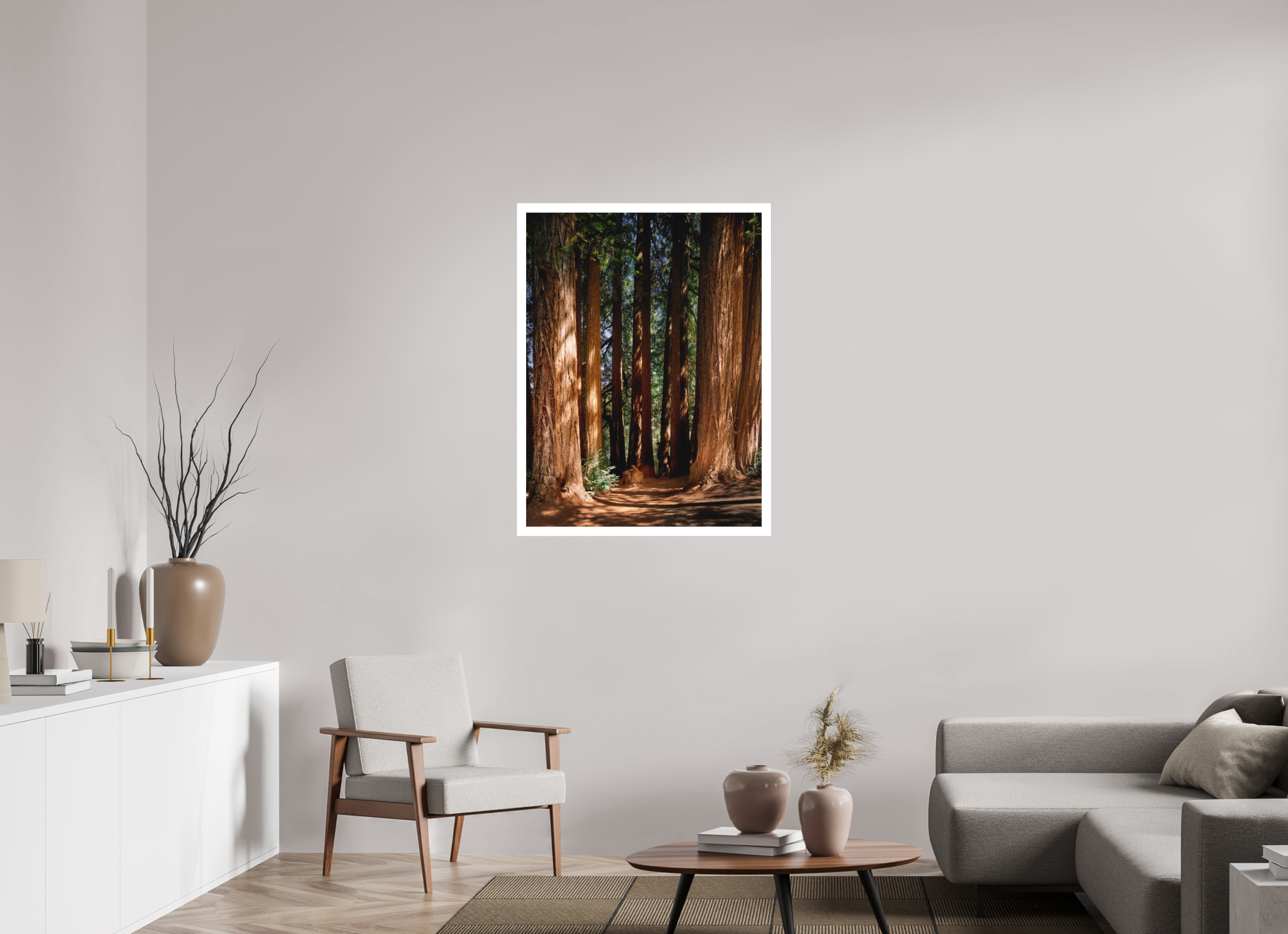 30 x 40″, Fine Art Bonded Acrylic Felton Redwoods Cathedral Grove