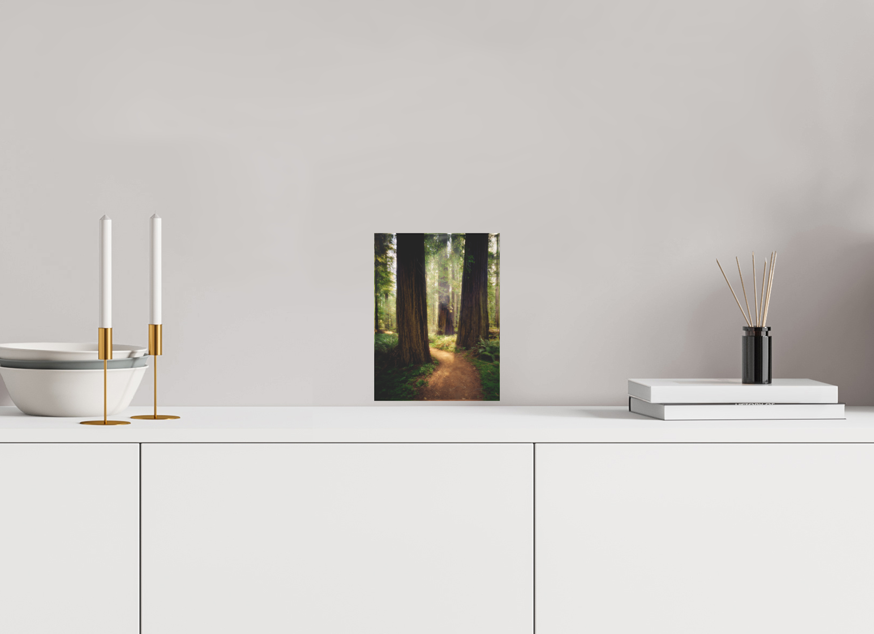 6 x 8″, Acrylic Block Gift Set A Path Through The Redwoods