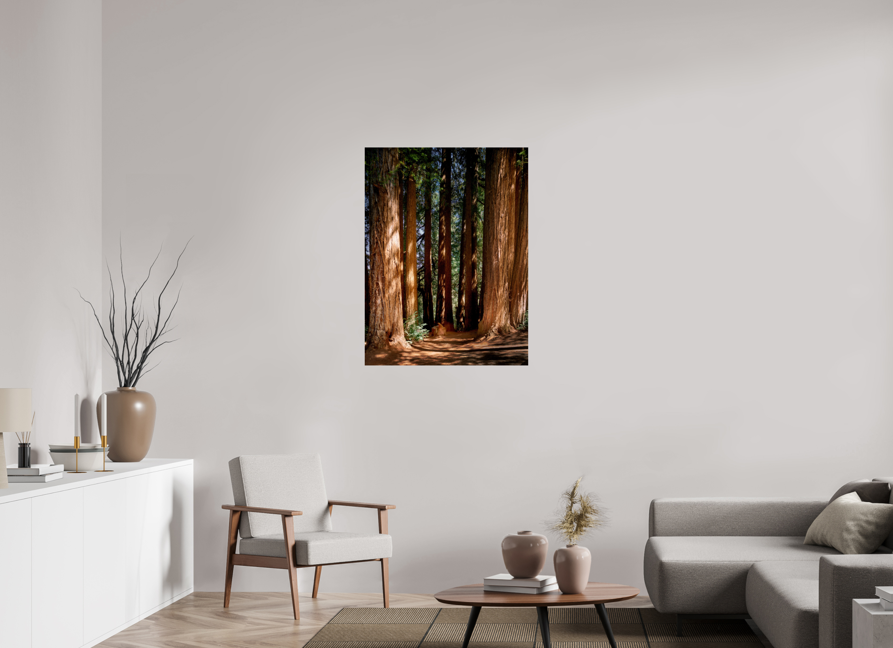 30 x 40″, Giclée Alu-Dibond Felton Redwoods Cathedral Grove