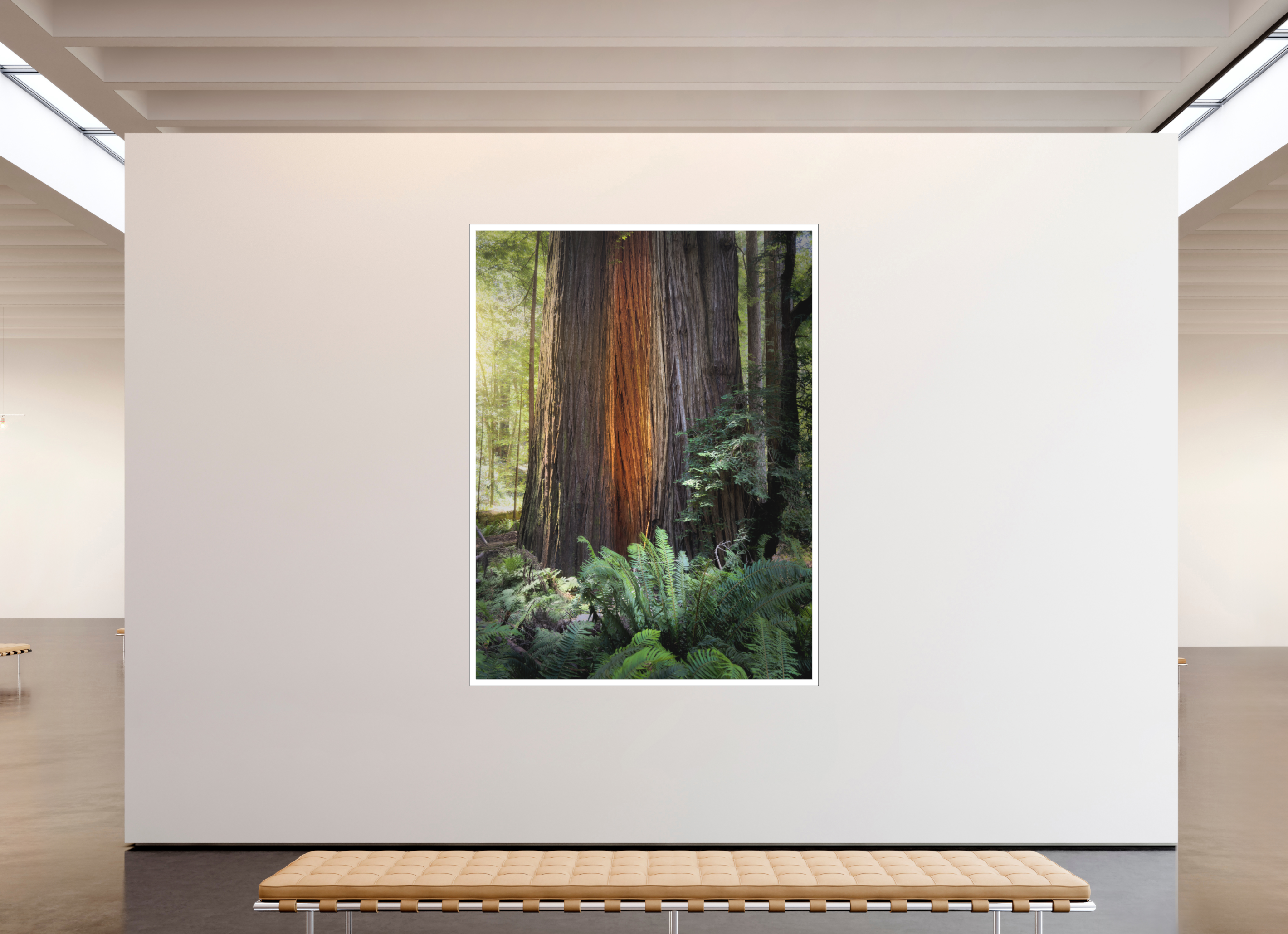 66 x 88″, Bonded Acrylic Mat + Black Frame Glow in the Tall Trees Grove