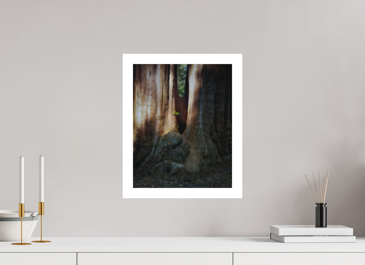 12 x 15″, Bonded Acrylic Mat + White Frame Semper iuvenis