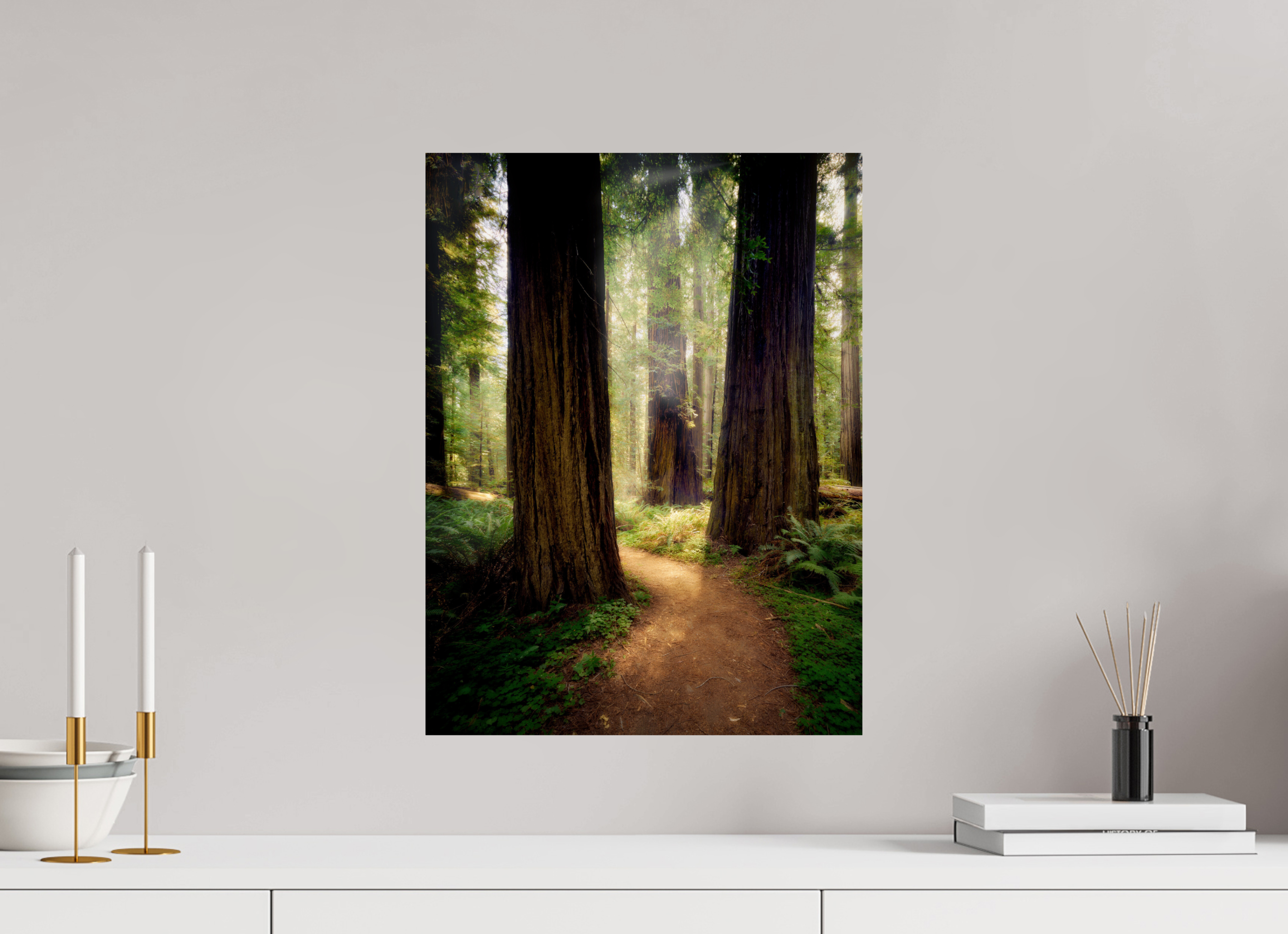 15 x 20″, Giclée Alu-Dibond A Path Through The Redwoods