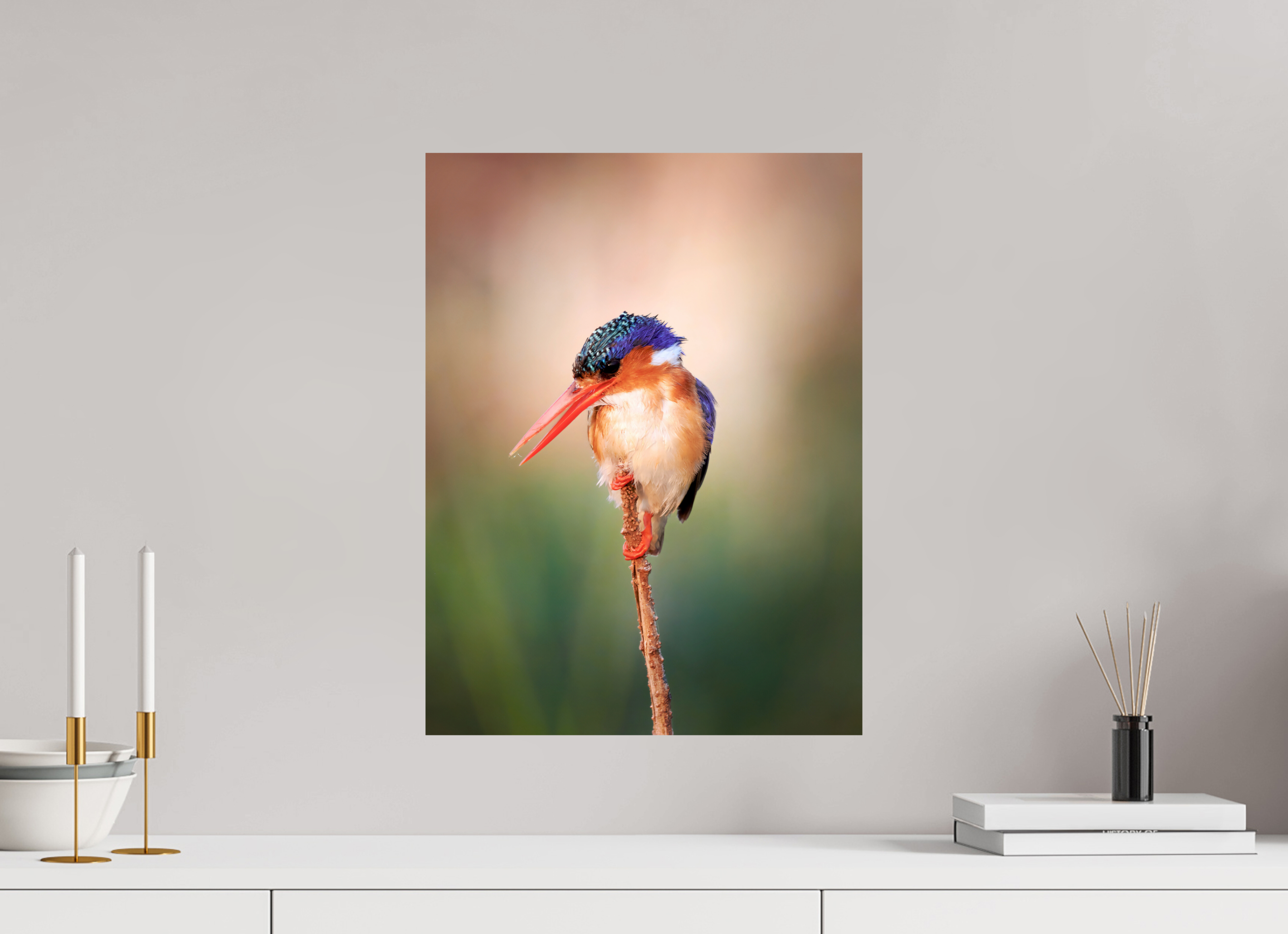 15 x 20″, Giclée Alu-Dibond Chobe River Kingfisher