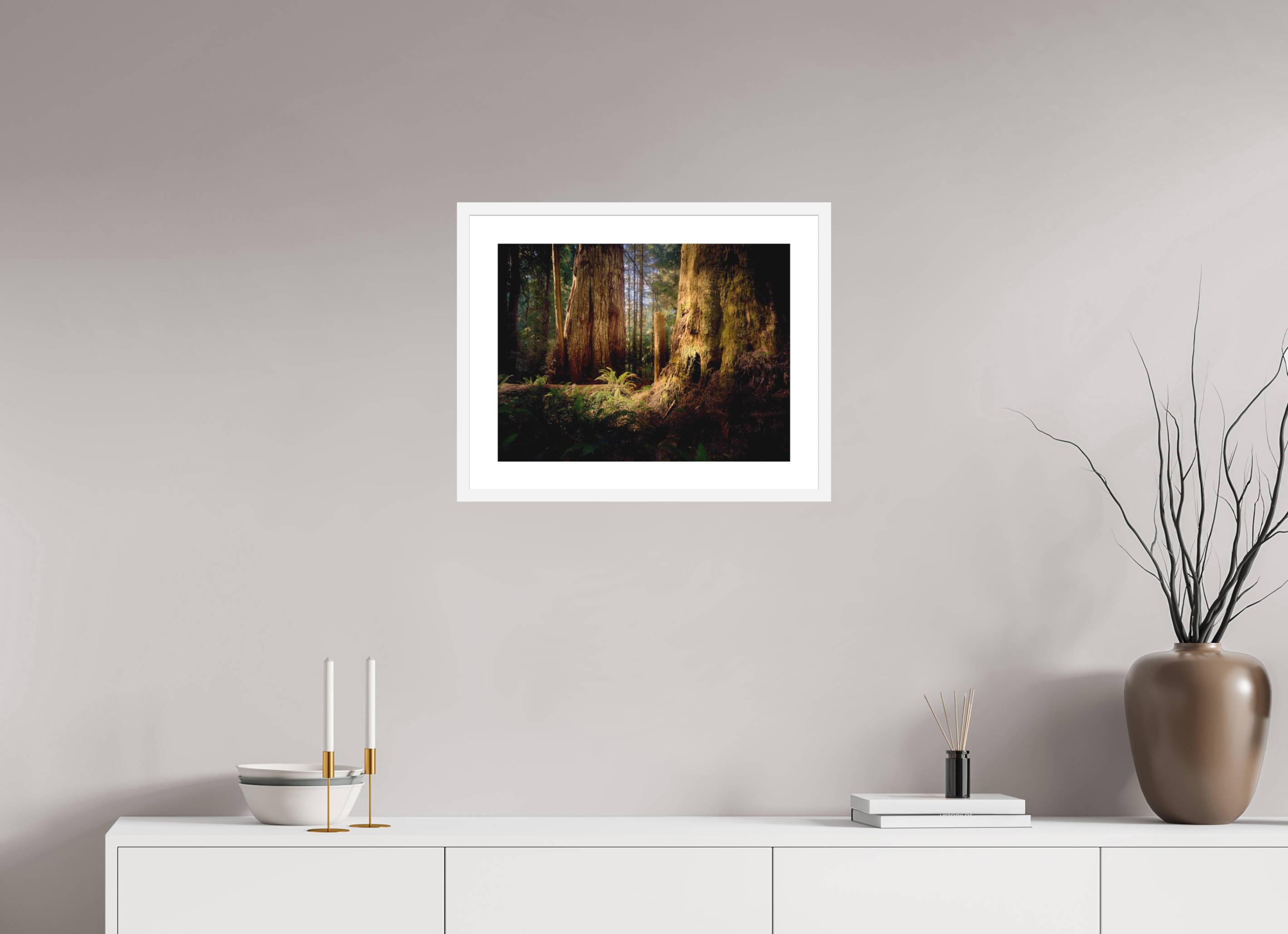 20 x 15″, Passe-Partout White Frame Parvus: A Redwood Perspective