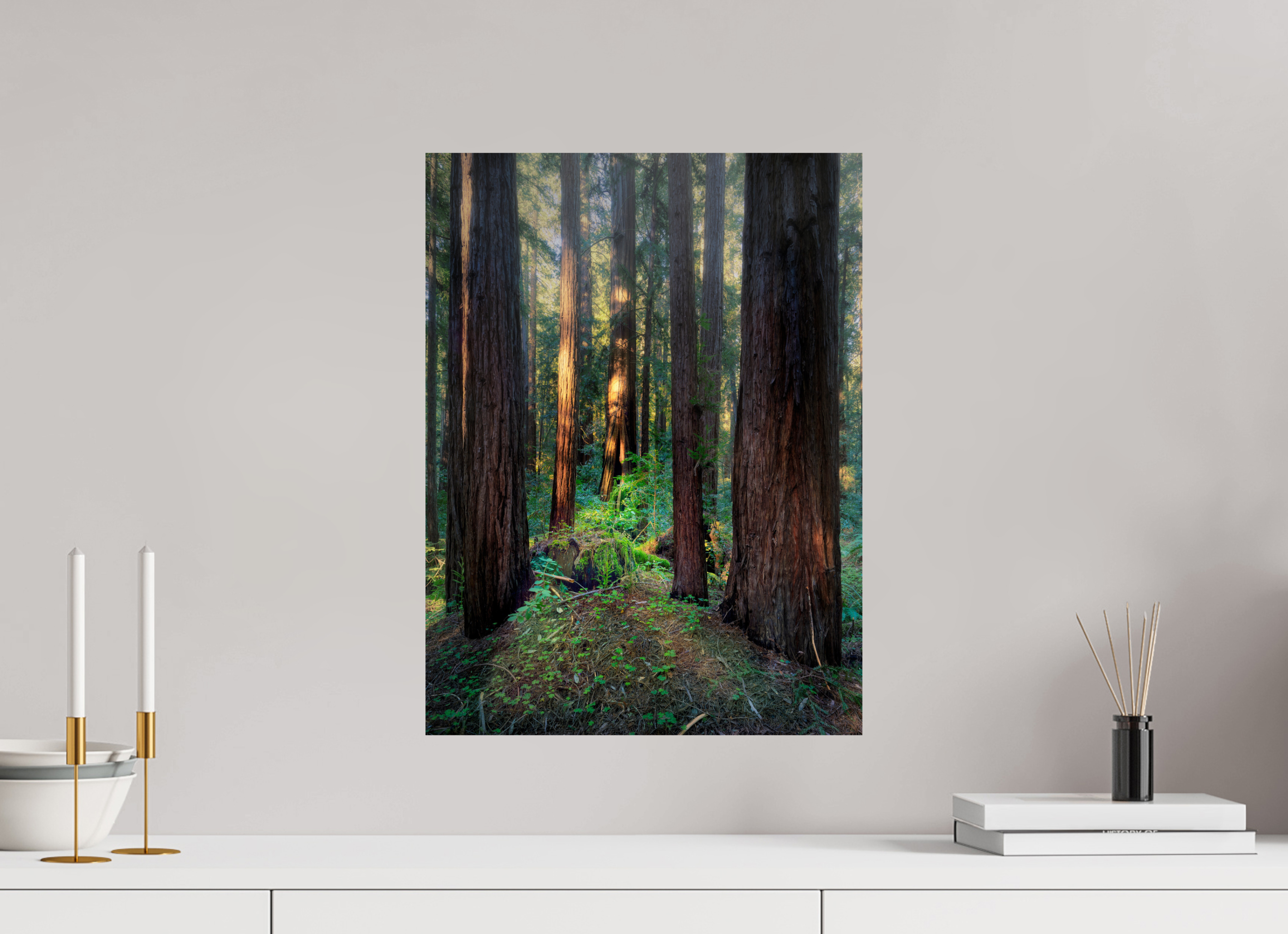 15 x 20″, Giclée Alu-Dibond Armstrong Woods III: The Ring Cycle