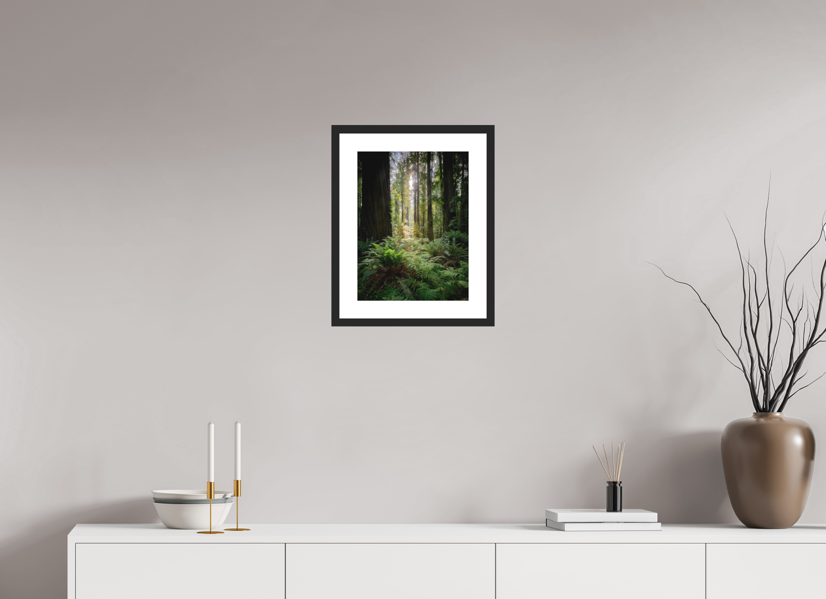 12 x 16″, Passe-Partout Black Frame Forest Light on Redwoods & Sword Ferns