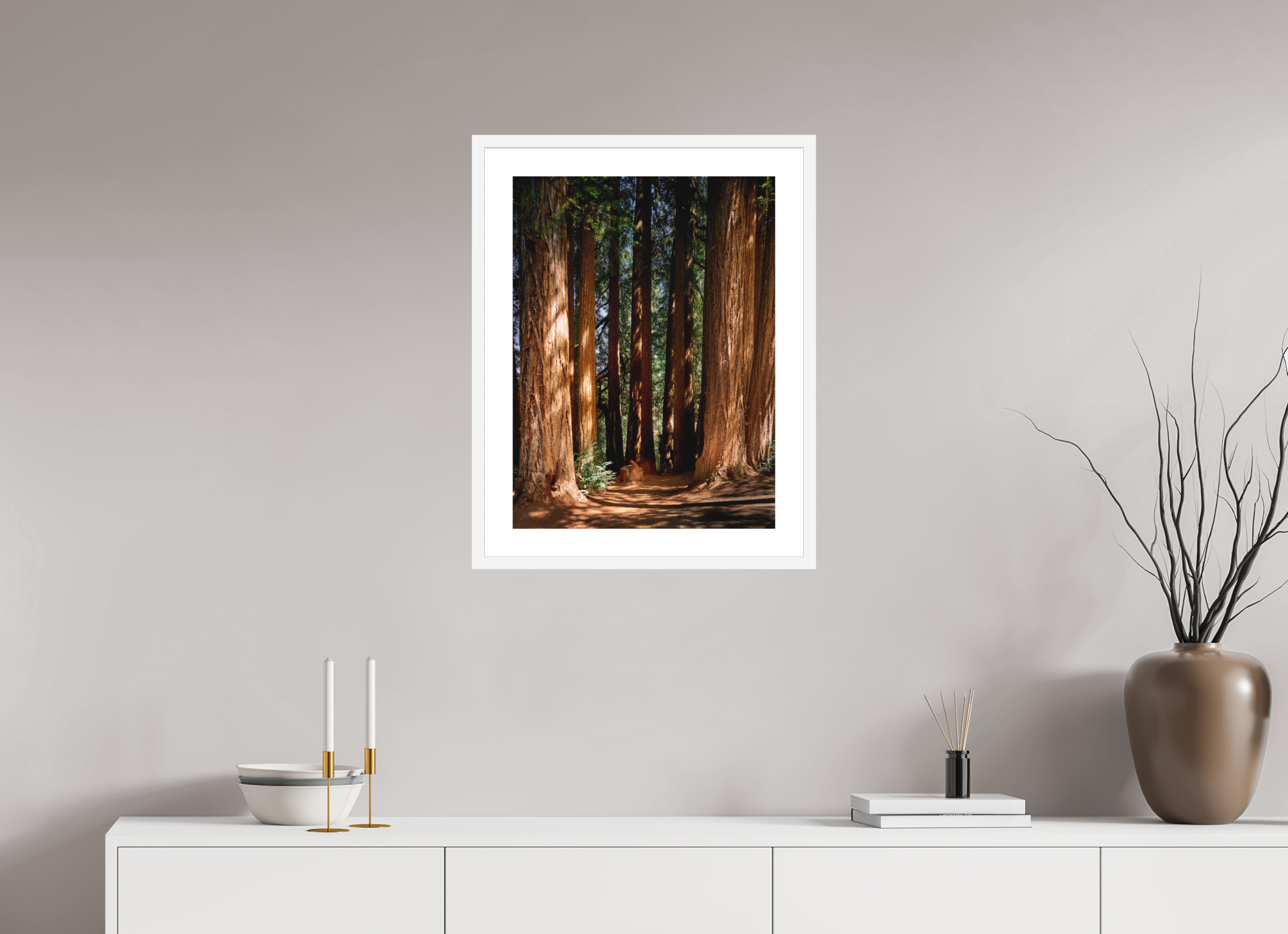 18 x 24″, Passe-Partout White Frame Felton Redwoods Cathedral Grove