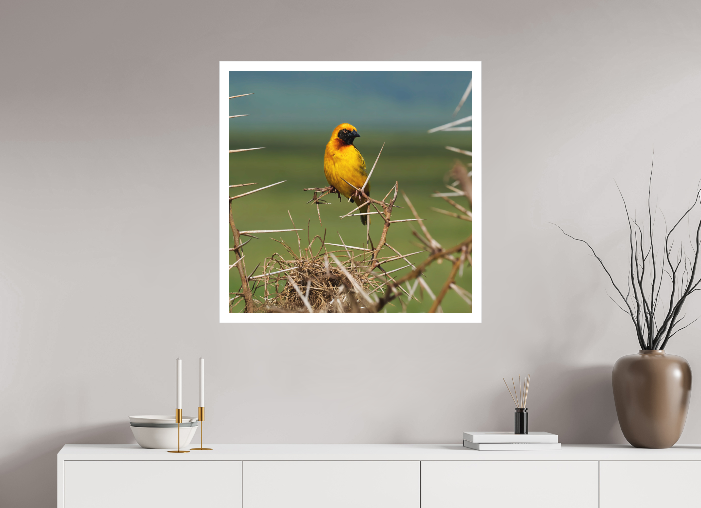 30 x 30″, Fine Art Bonded Acrylic Afrcan Golden Weaver